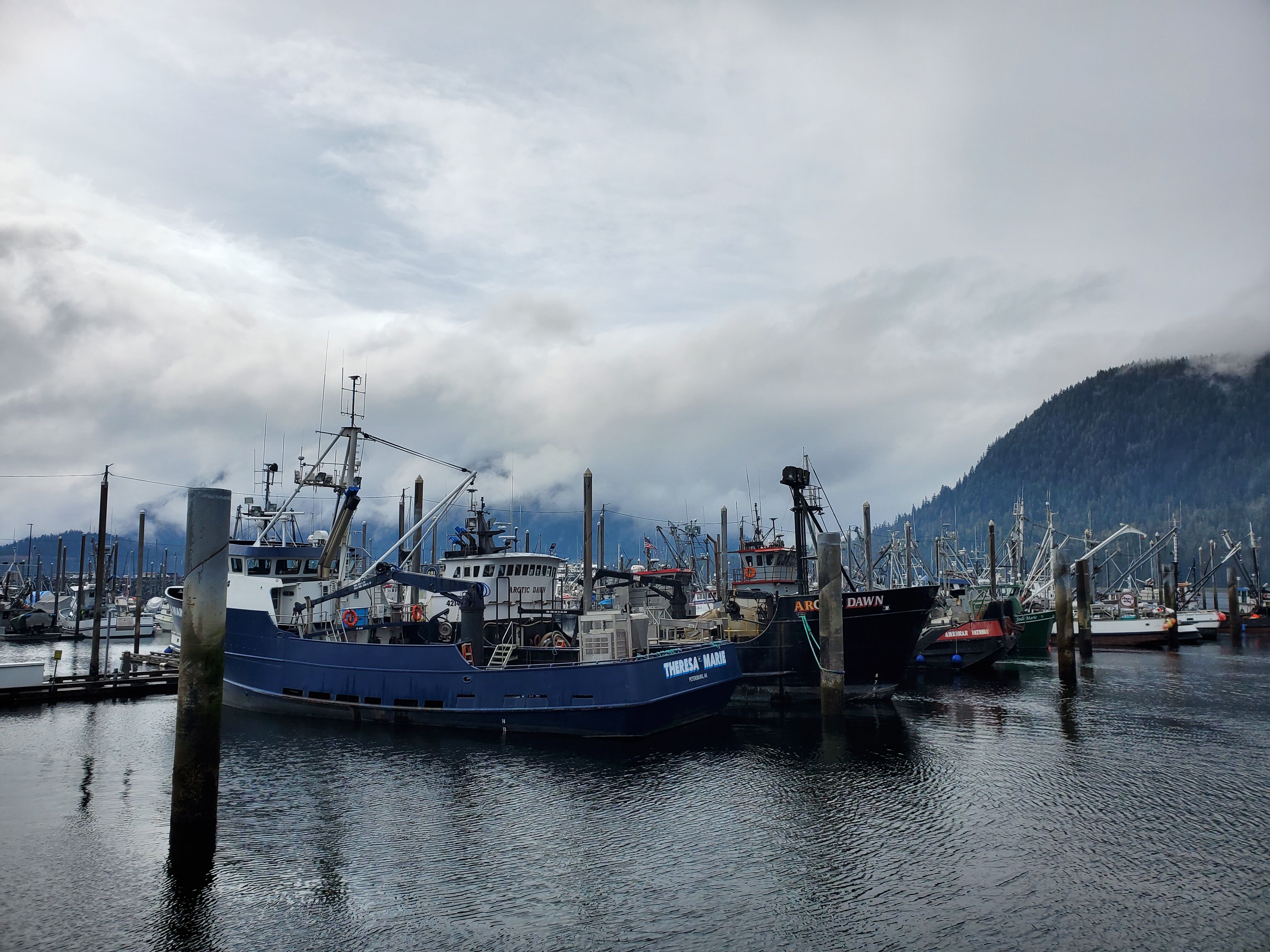 Petersburg, Alaska 10 2022. National Geographic Sea Lion