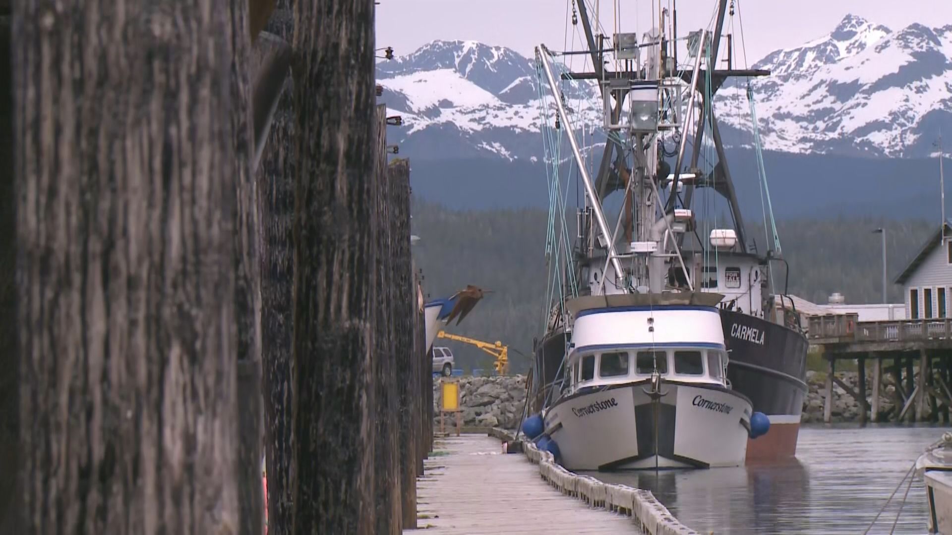 Copper River salmon fishery nears without travel restrictions from Cordova City Council