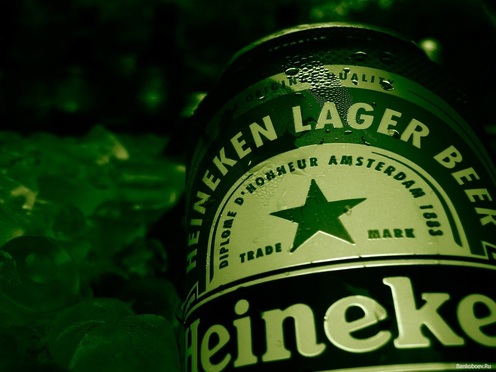 Heineken Lager HD Wallpaper and Background