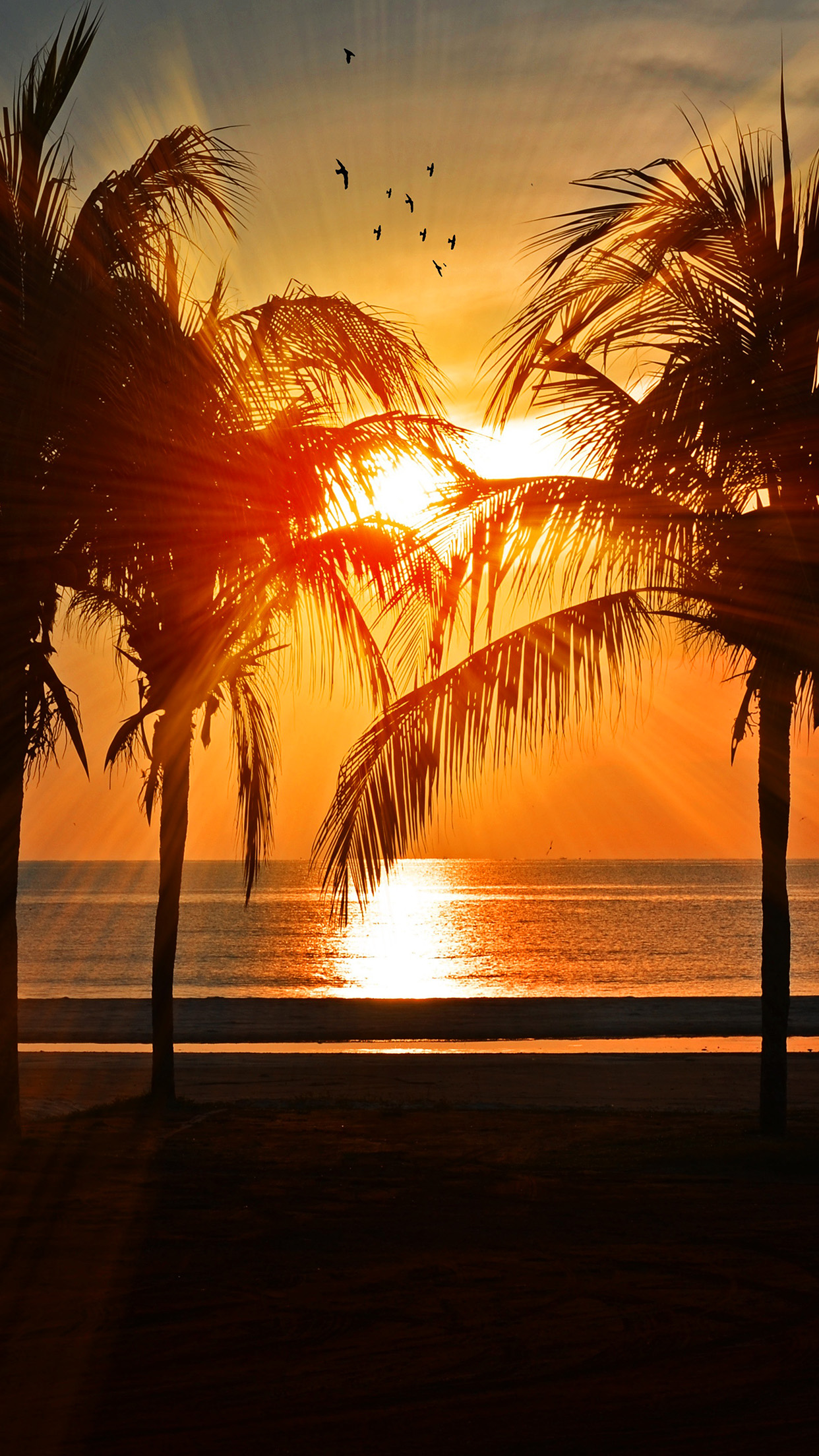 iPhone 6 wallpaper. beach vacation summer night sunset red palm tree