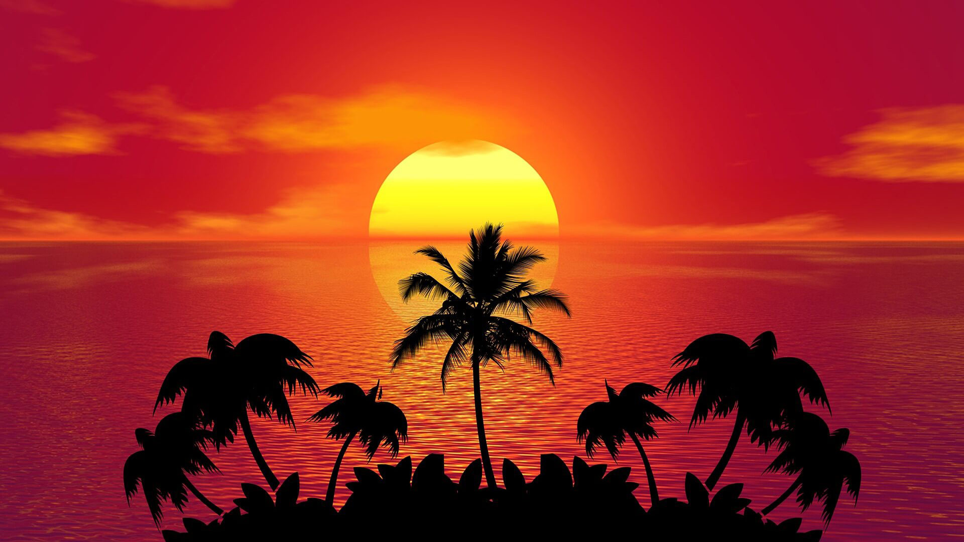 Tropical Island Summer Red Sunset Beach Ocean Palm Wallpaper