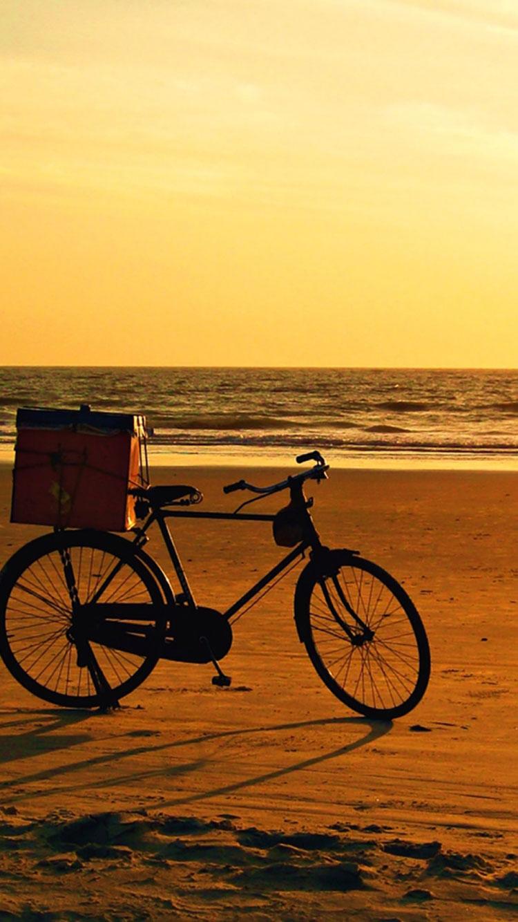 Vintage Aesthetic Wallpaper iPhone