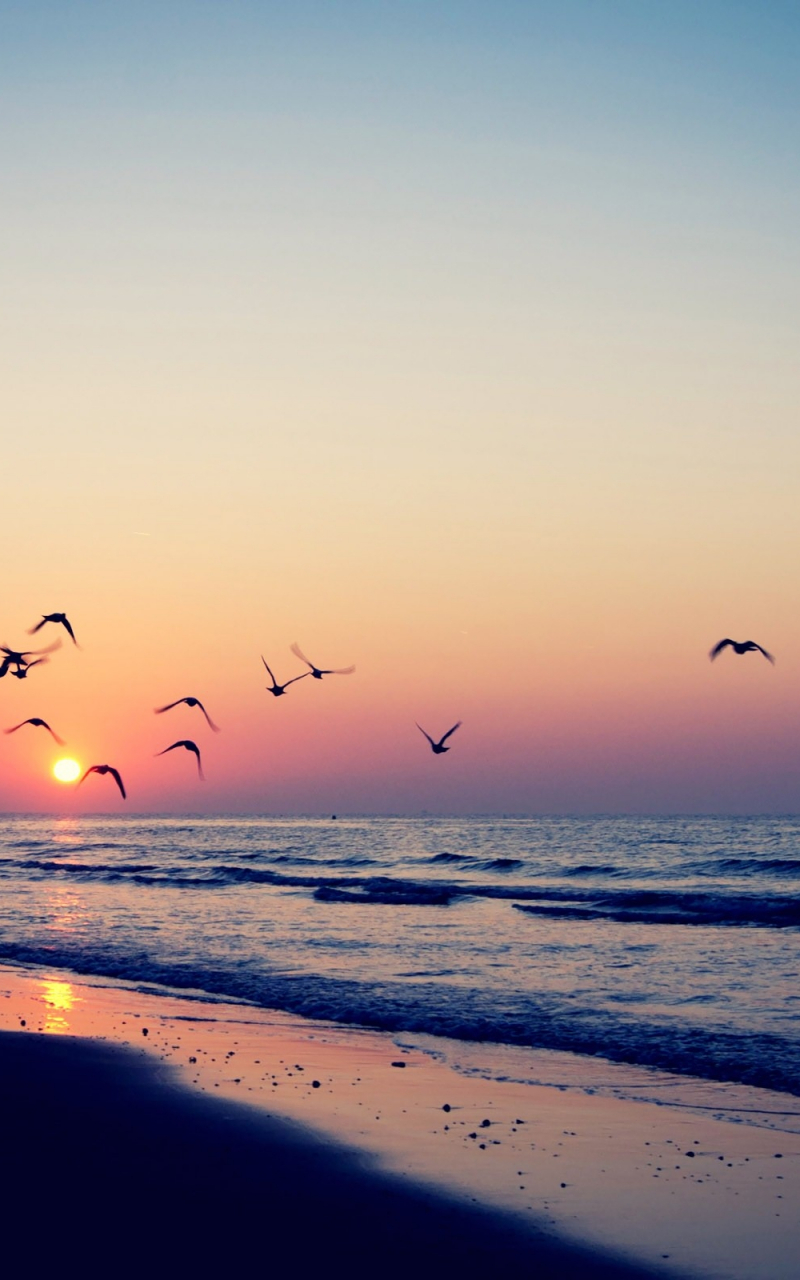 Free download Summer Background HD Wallpaper HD BackgroundTumblr Background [2560x1600] for your Desktop, Mobile & Tablet. Explore Vintage Summer Wallpaper. Free Vintage Wallpaper for Desktop, Beautiful Summer Picture for
