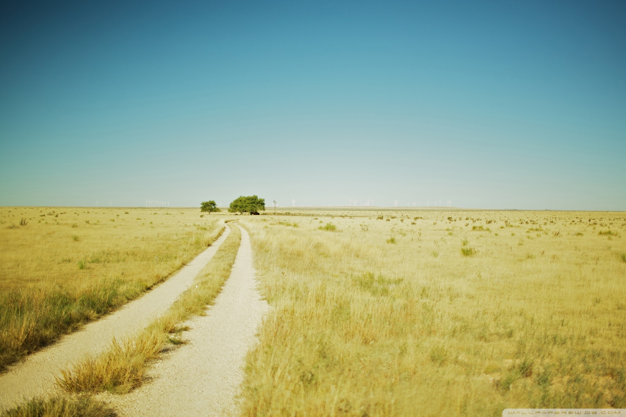 Beautiful Summer Landscape With A Field Path Ultra HD Desktop Background Wallpaper for 4K UHD TV, Multi Display, Dual Monitor, Tablet