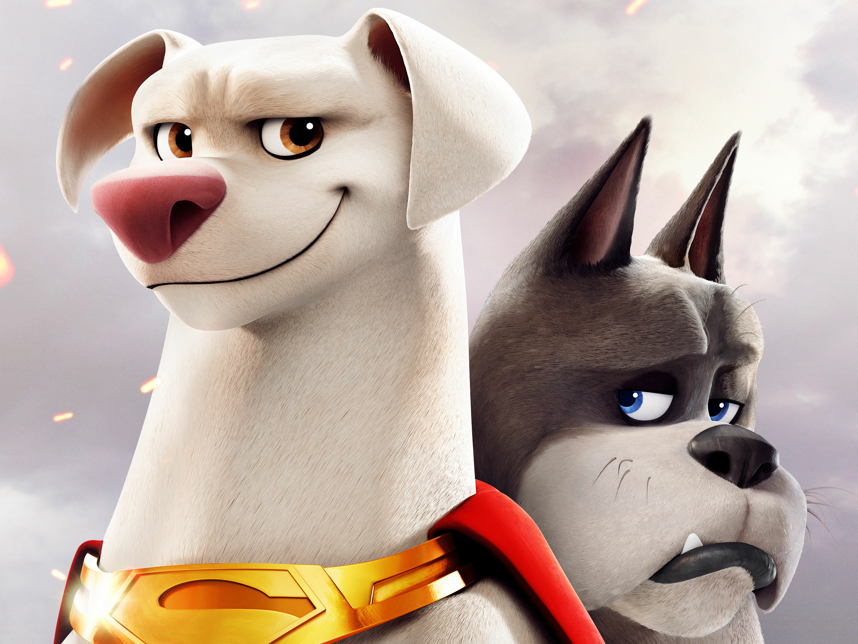 DC League Of Super Pets HD Wallpaper And Background
