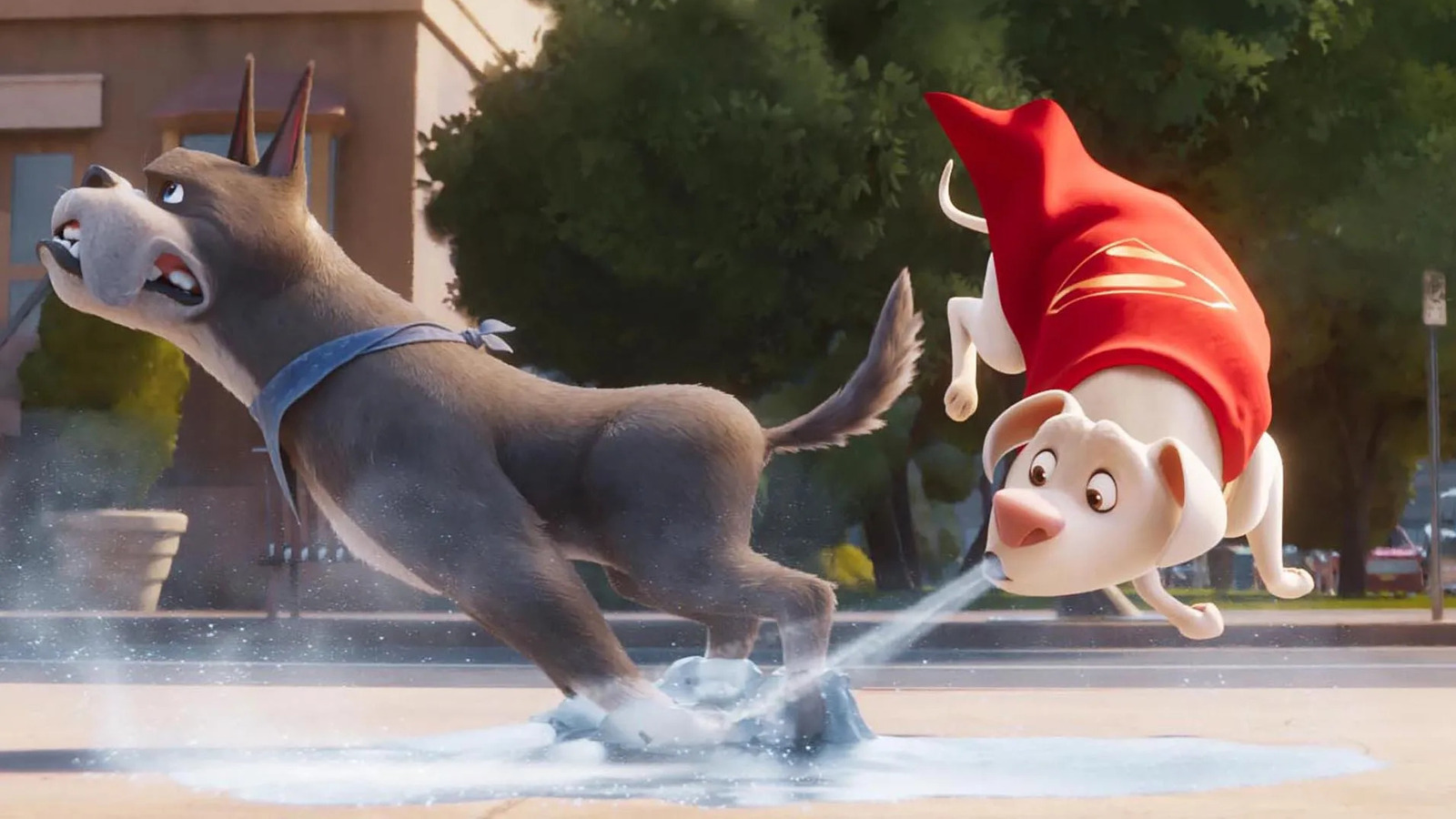 DC League Of Super Pets