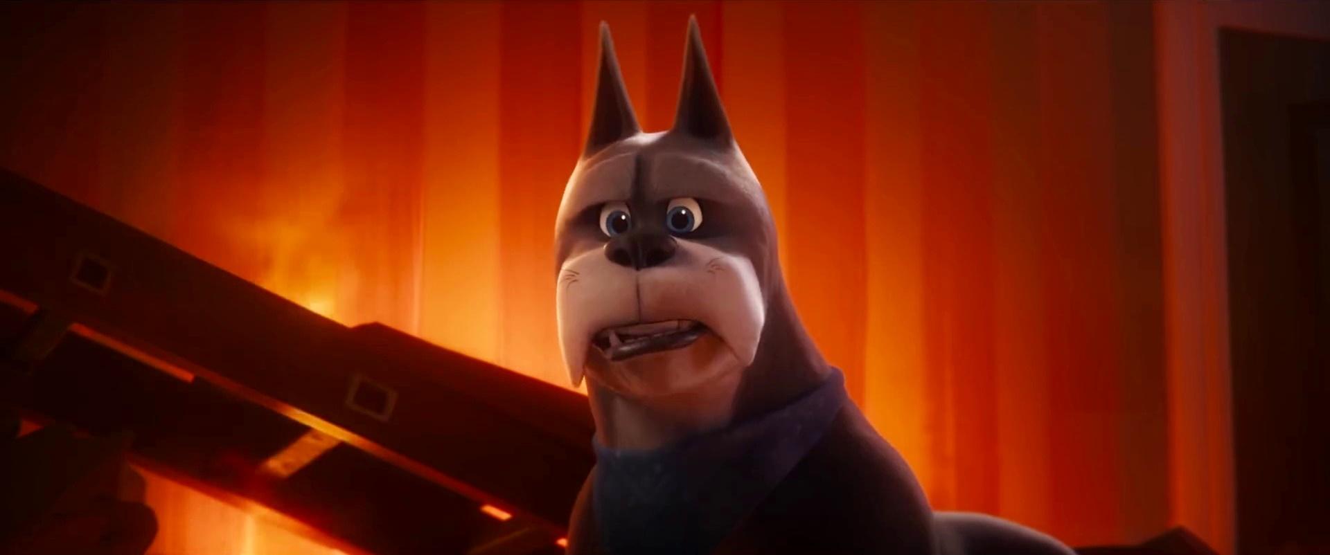 DC League Of Super Pets