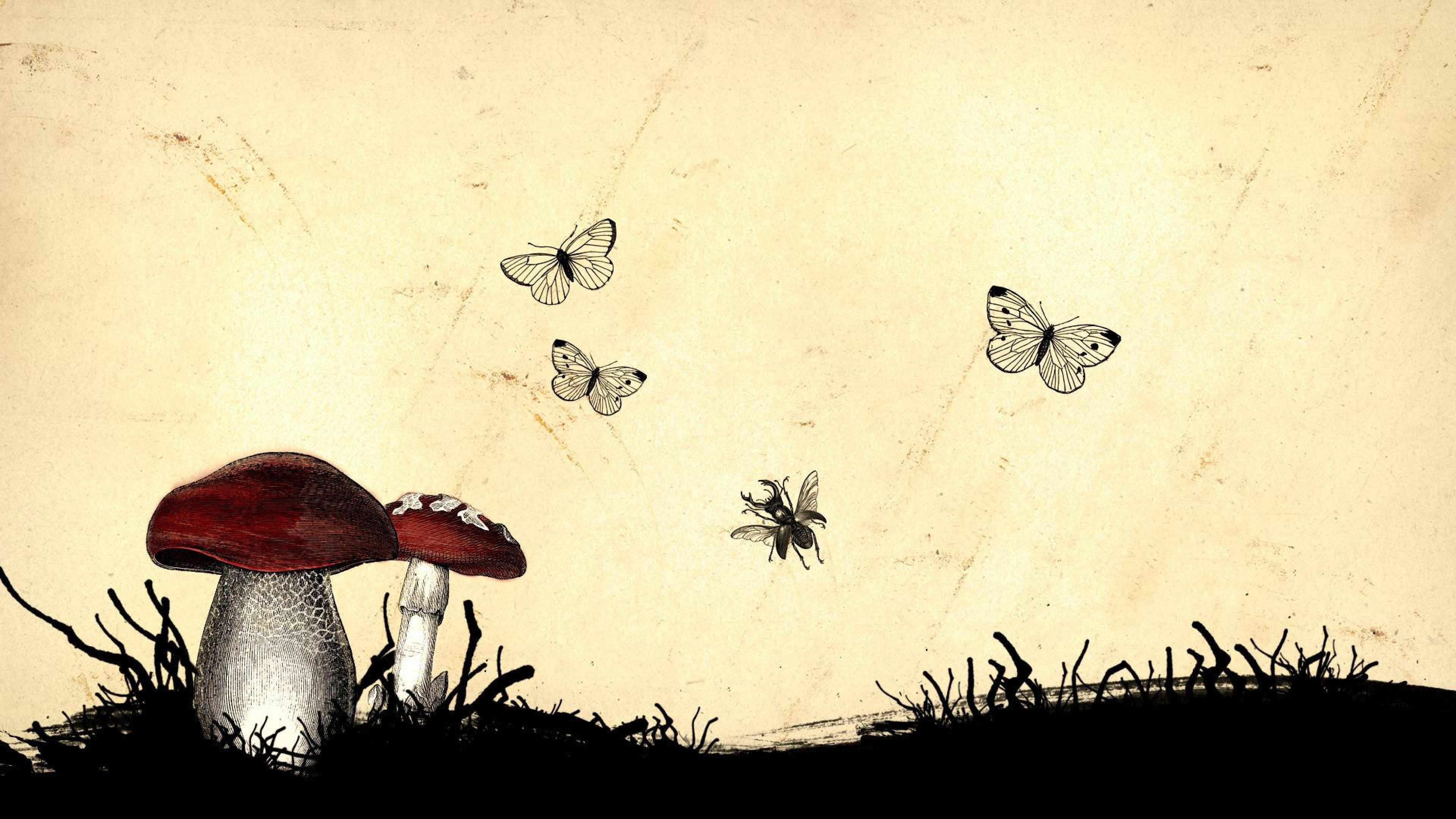 Magic Mushroom Wallpaper