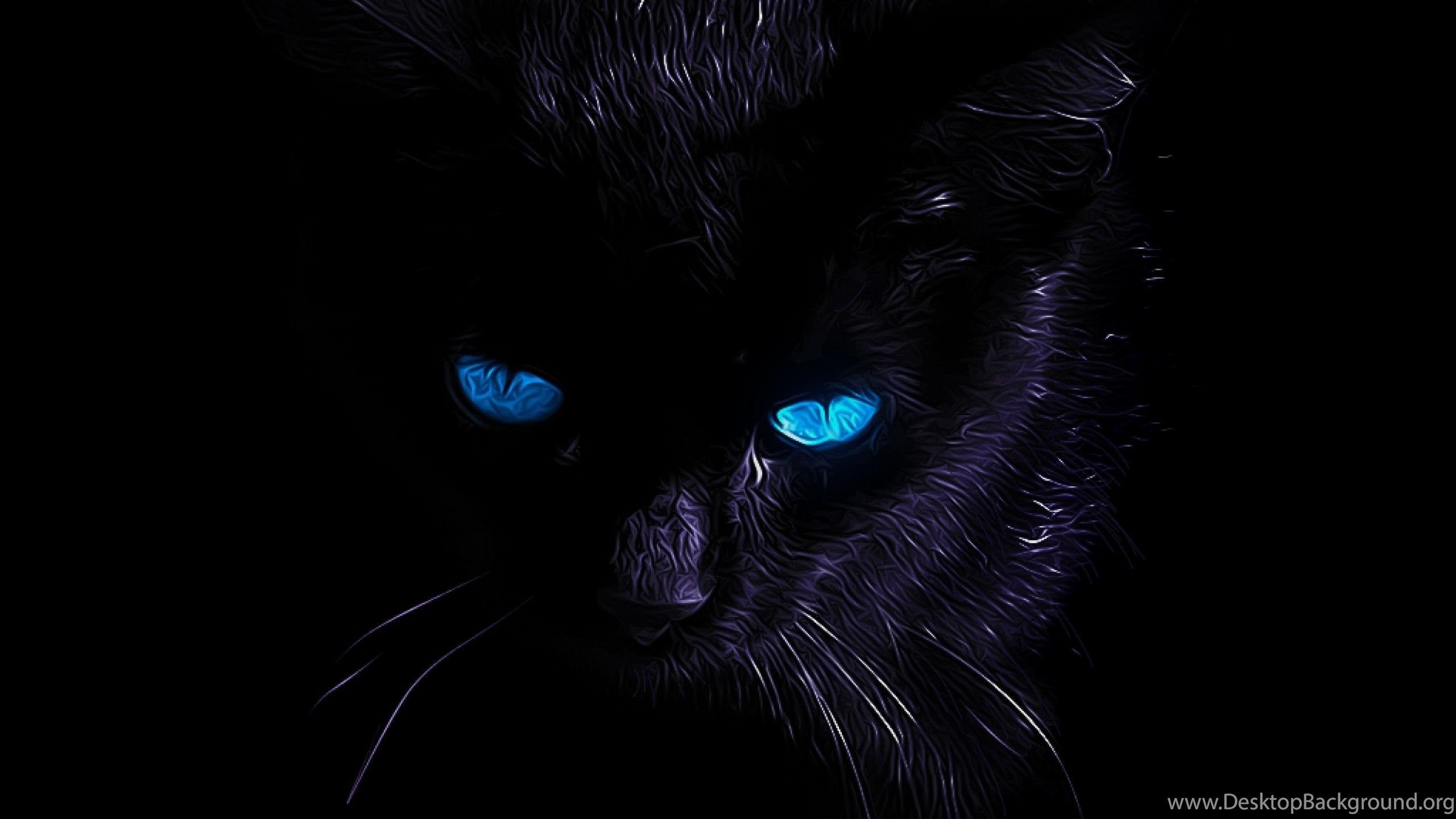Dark Cat Wallpaper