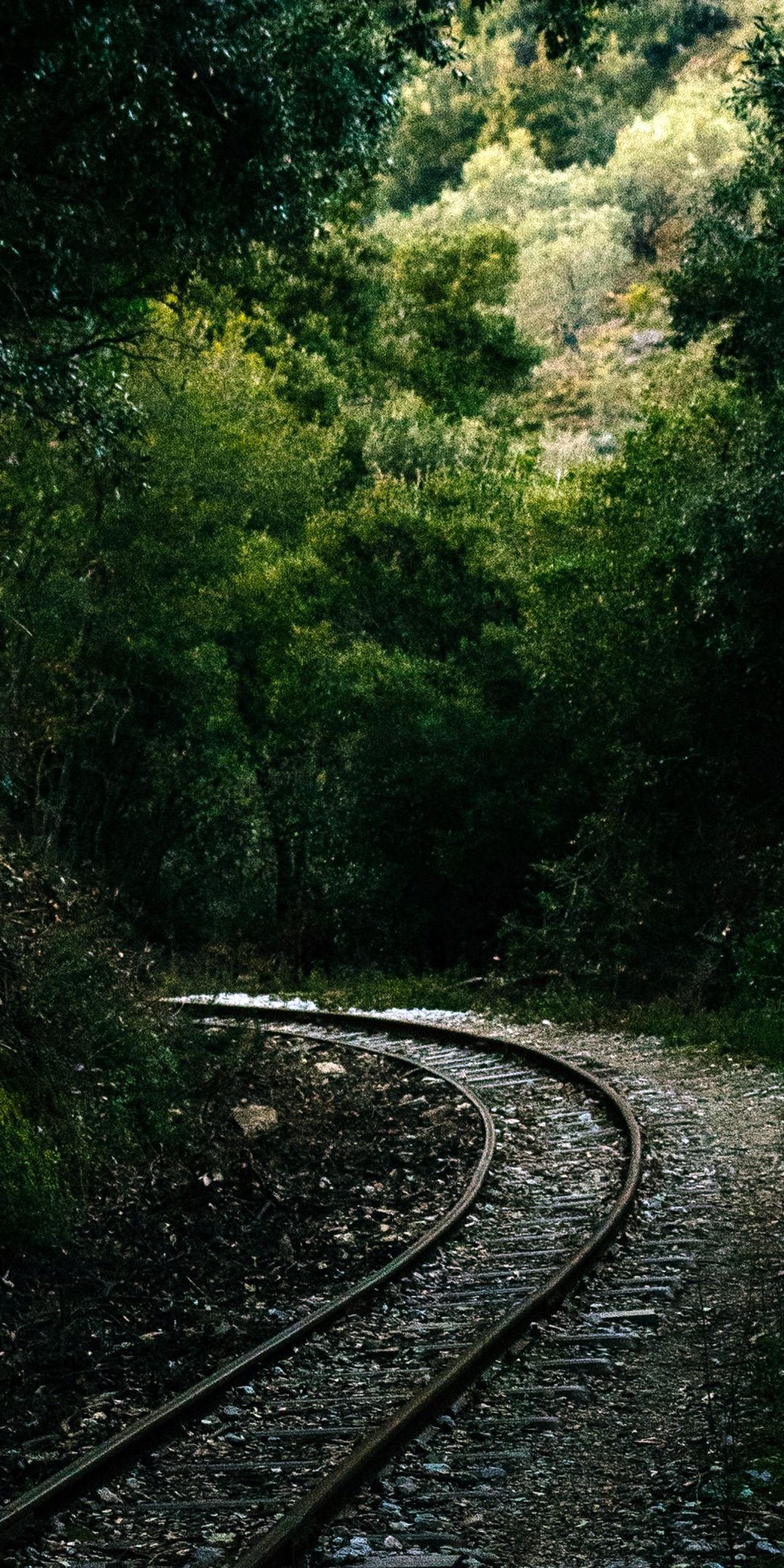 Railroad, forest, green and dense wallpaper. Green nature wallpaper, Nature aesthetic, Dark green aesthetic