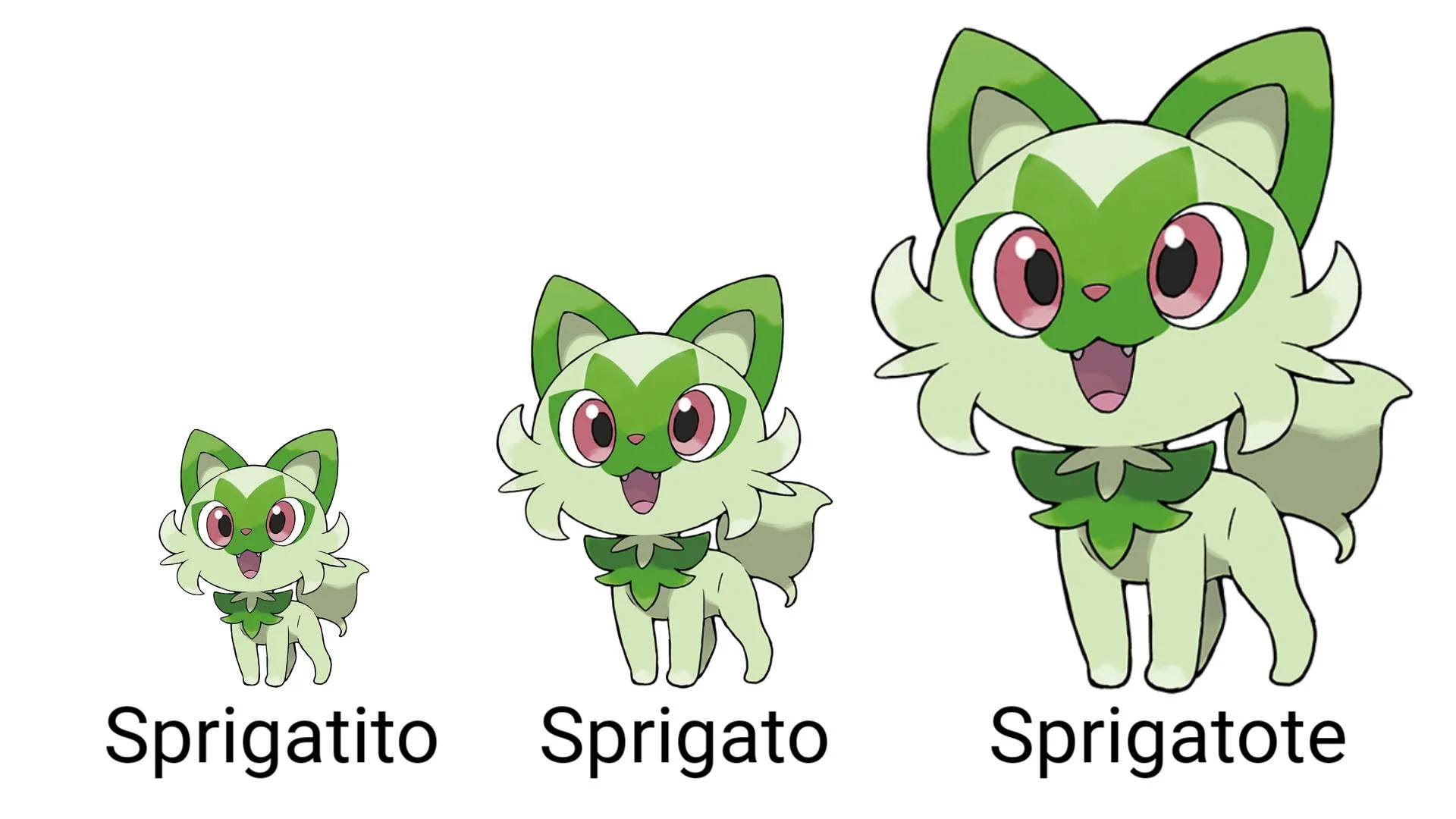 Sprigatito pokemon evolution leak