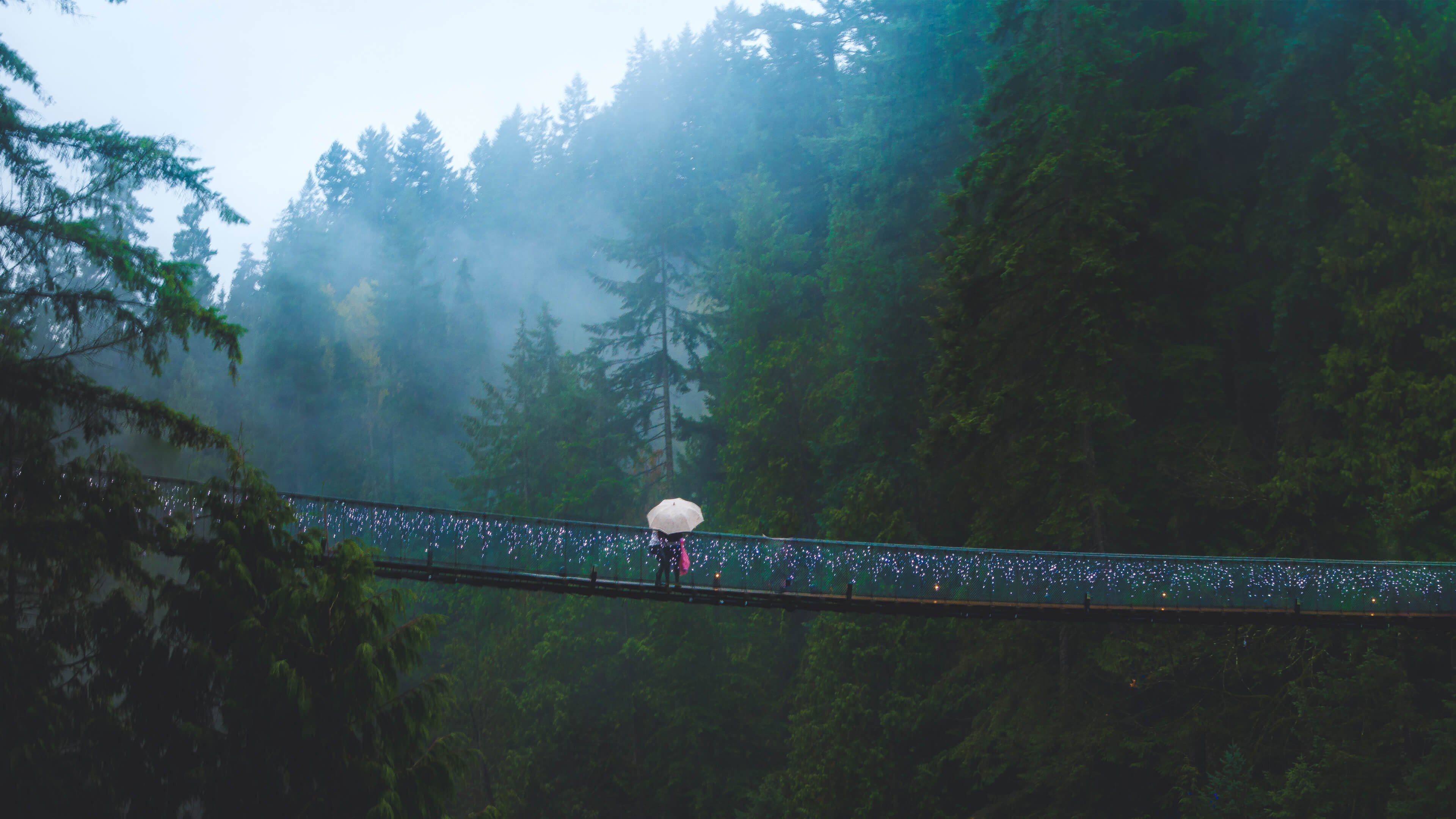 Capilano Suspension Bridge West Vancouver in Canada 4K wallpaper