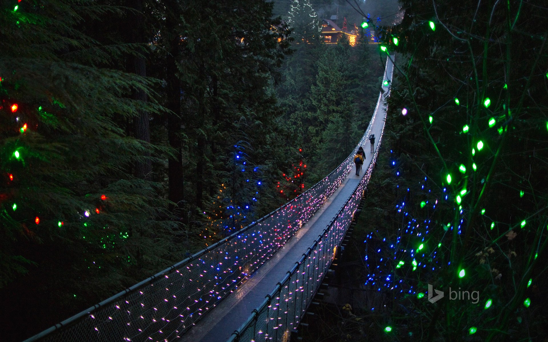 Vancouver British Columbia Canada Capilano British Columbia Canada the suspension bridge bridge trees forest nature holiday lights people landscape wallpaperx1200