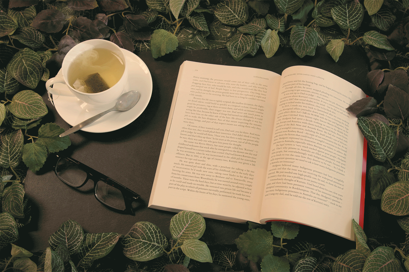 Summer reads on policy and politics. by Policy Innovation Hub. The Machinery of Government