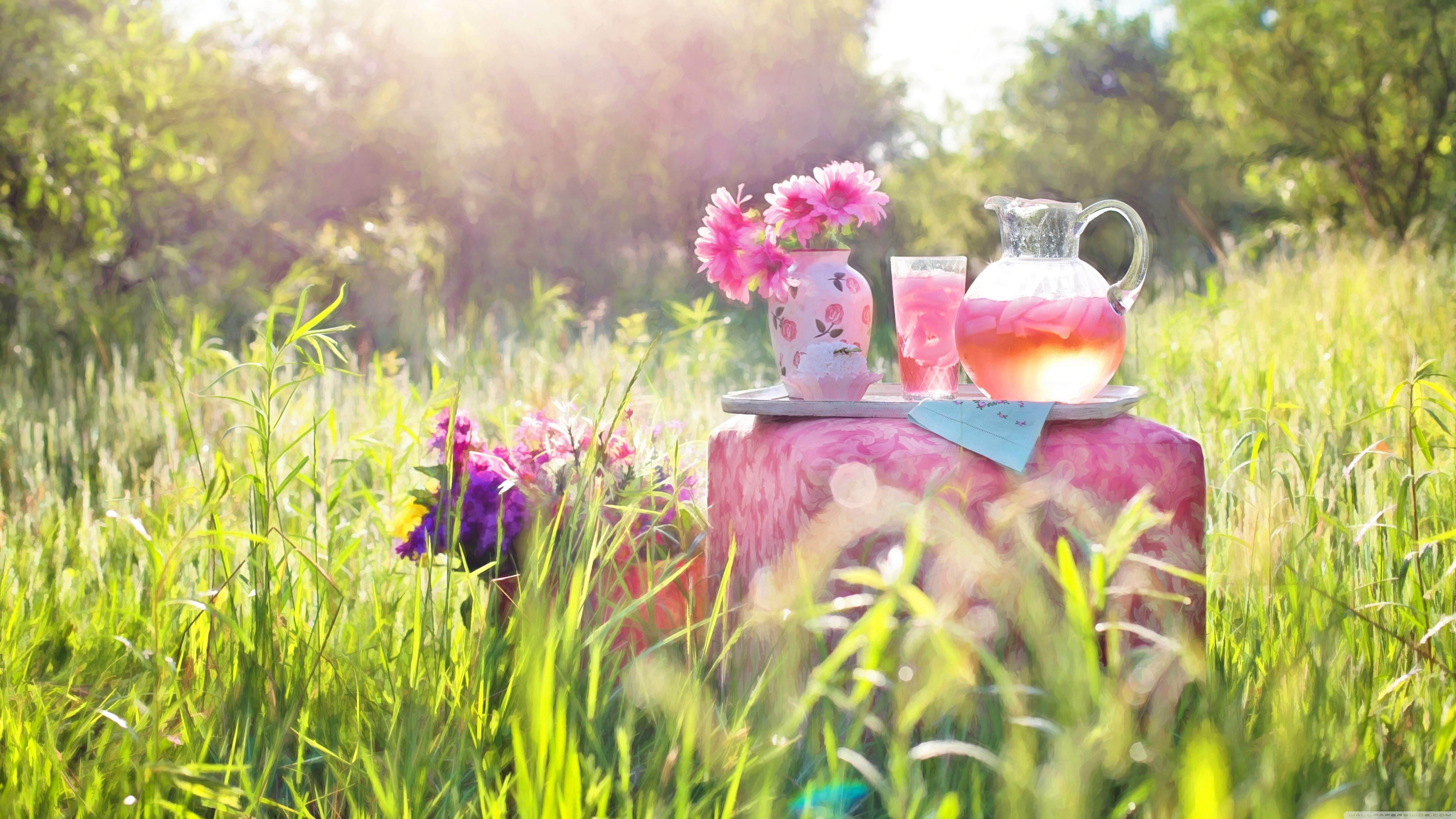 Pink Lemonade Ultra HD Desktop Background Wallpaper for: Multi Display, Dual Monitor, Tablet