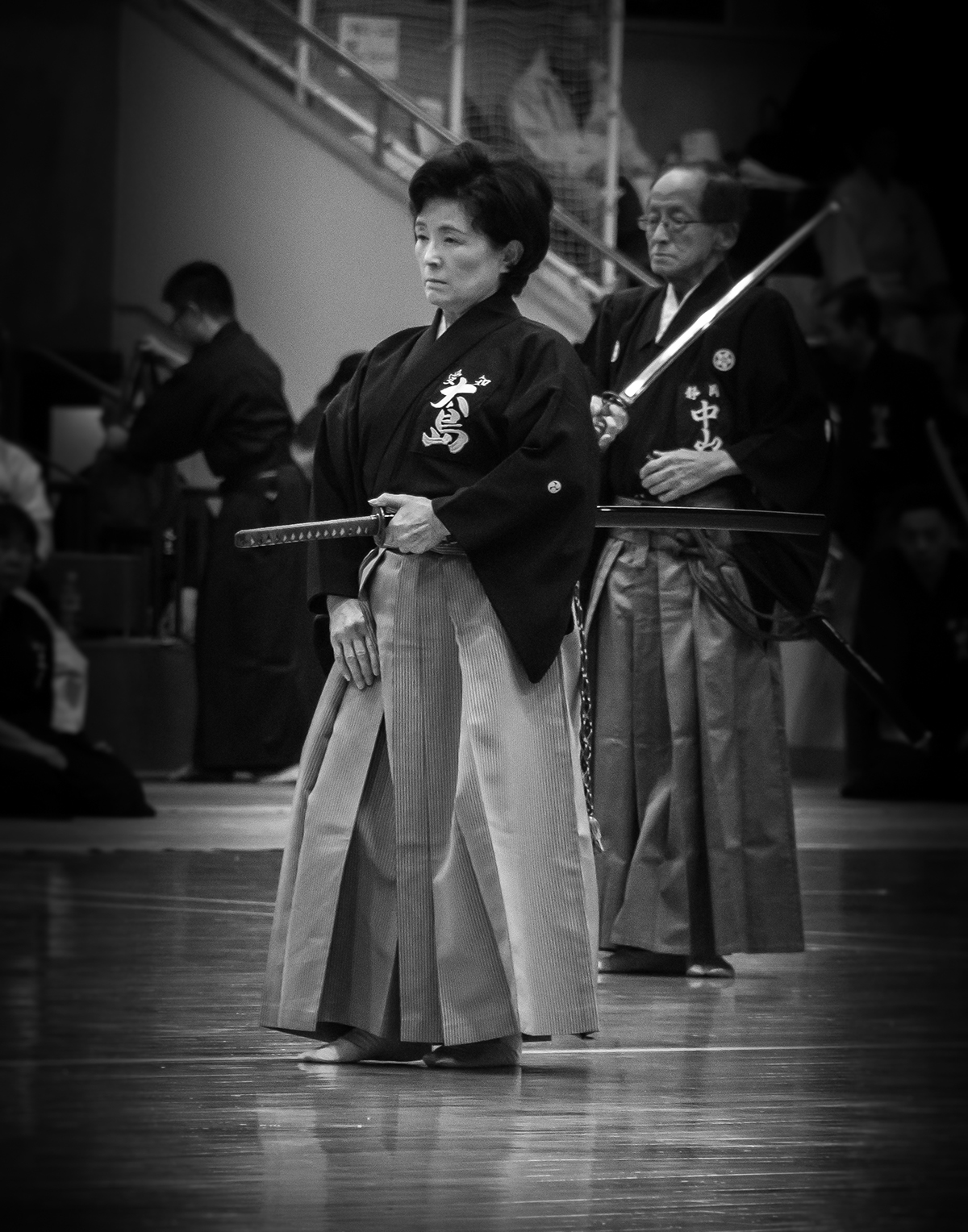 The art of iaido