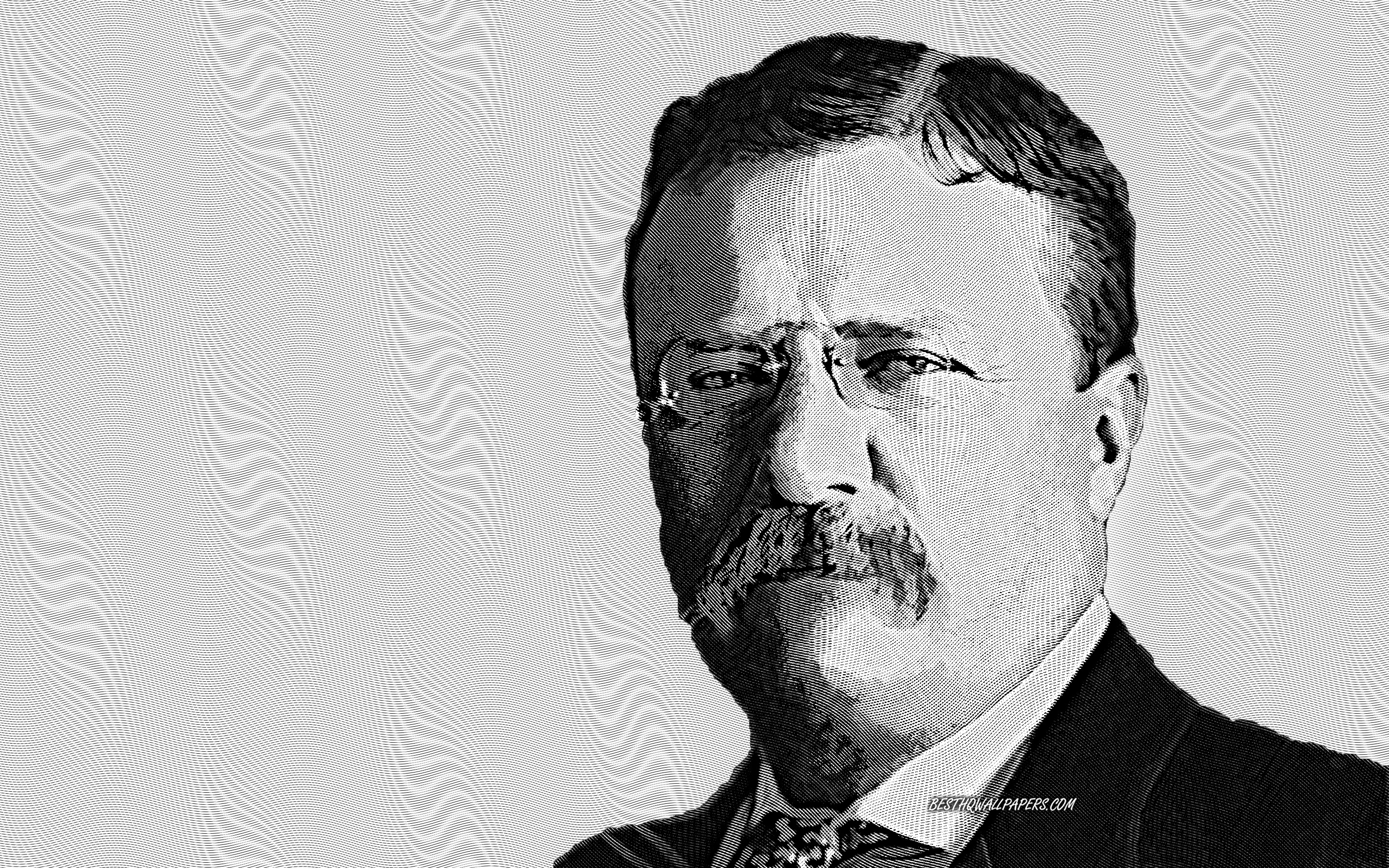 Download wallpaper Theodore Roosevelt, 26th US President, portrait, art, American president, USA for desktop with resolution 2880x1800. High Quality HD picture wallpaper