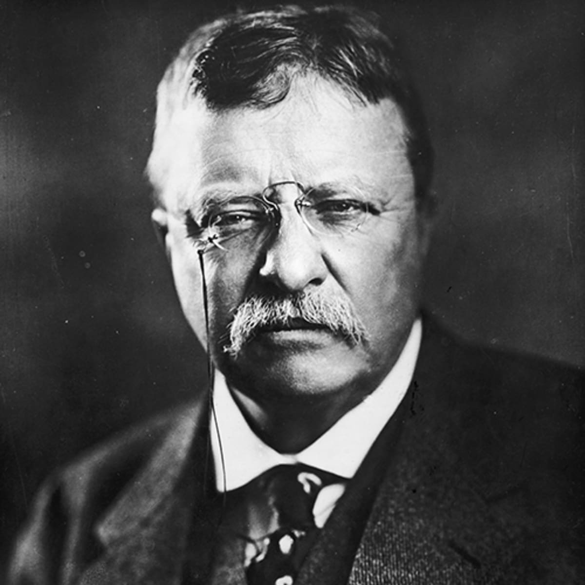 Theodore Roosevelt, Children & Presidency