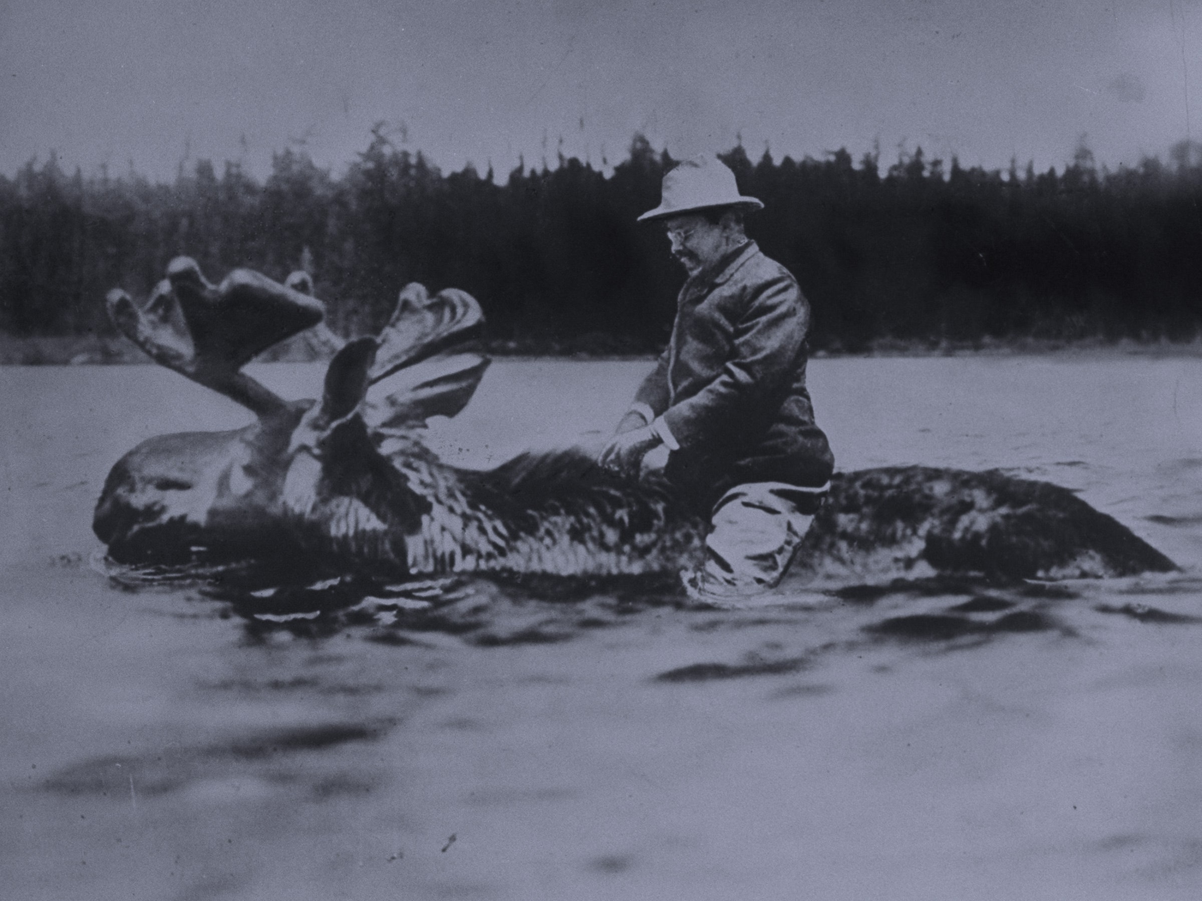 Teddy Roosevelt on a Moose: Fake News, or Fake Fake News?