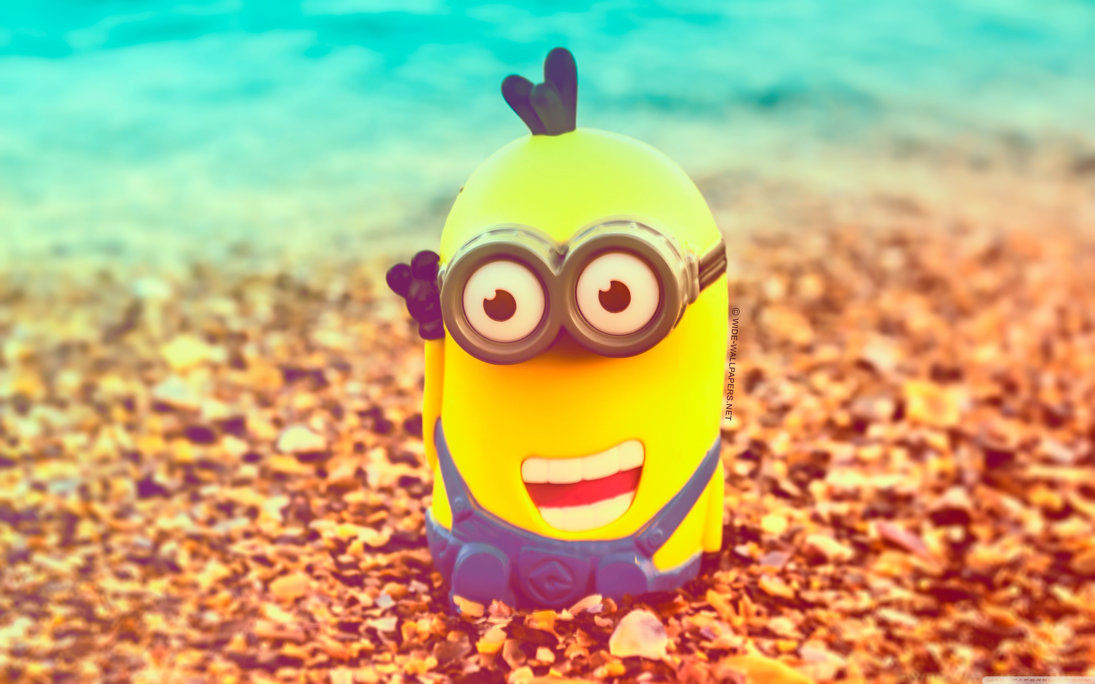 Minion Desktop Wallpaper