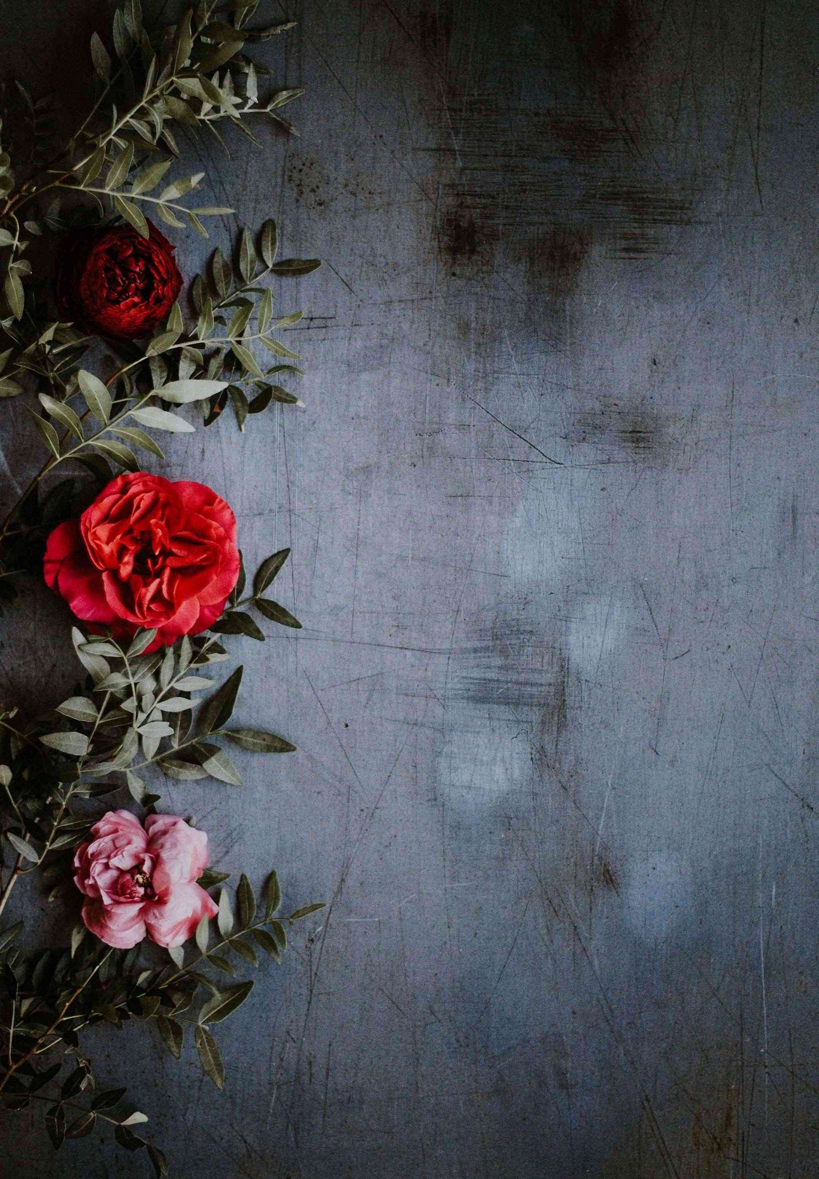 iPhone Flower Homescreen Wallpapers Wallpaper Cave