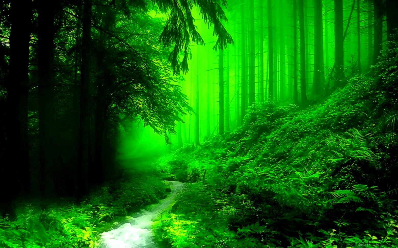 Green River Wallpaper Free Green River Background