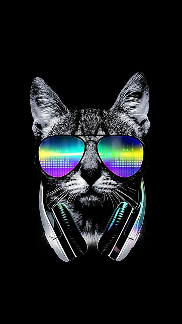 Cat Gamer Wallpapers - Wallpaper Cave