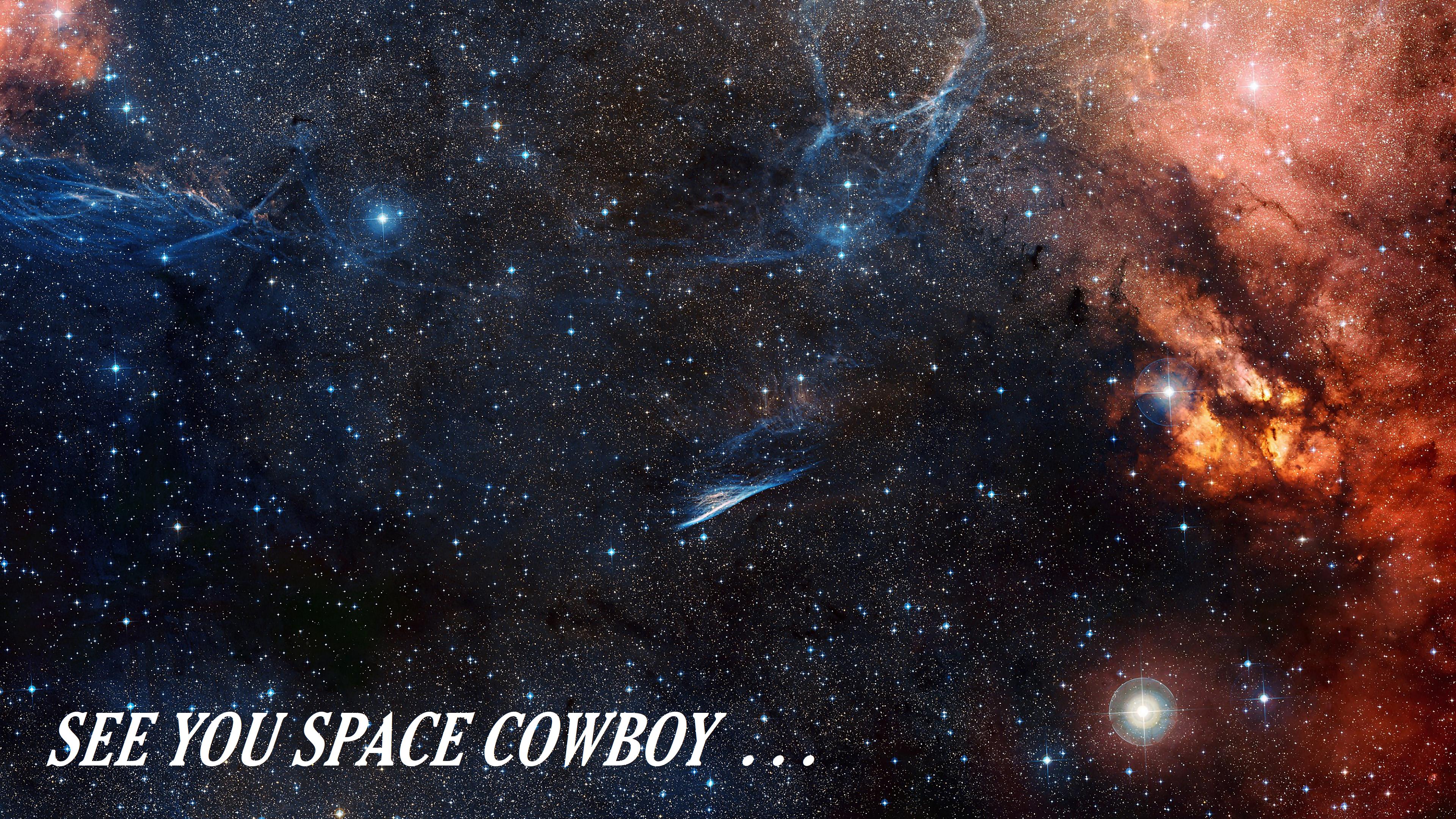 See you space Cowboy, Cowboy bebop 4k desktop background