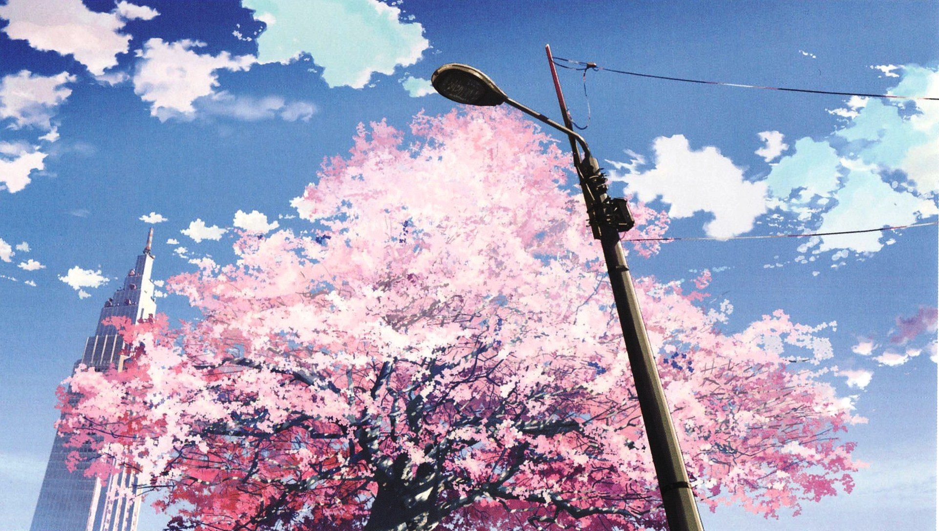 Sakura Tree. Filmes animados, Anime, Sakura