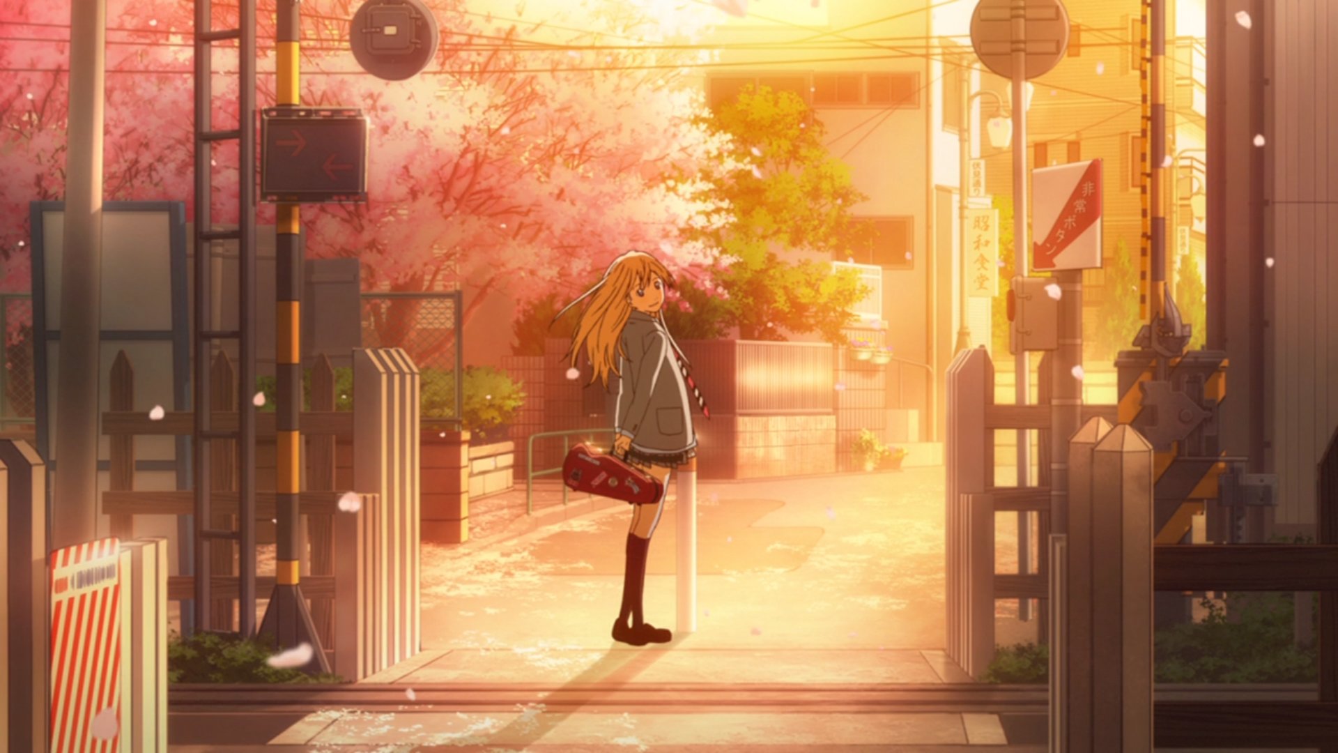 Anime Spring Season Street Wallpapers Wallpaper Cave