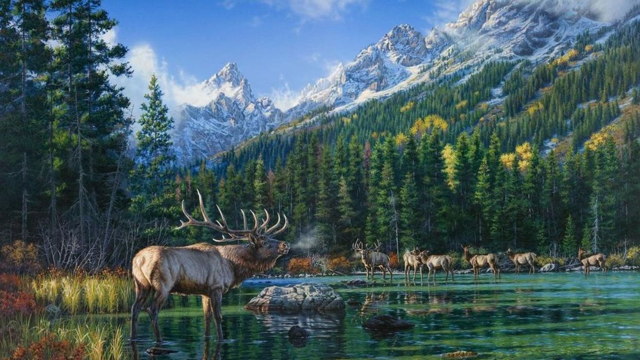 Art painting picture mountains forests deer wallpaperx1080