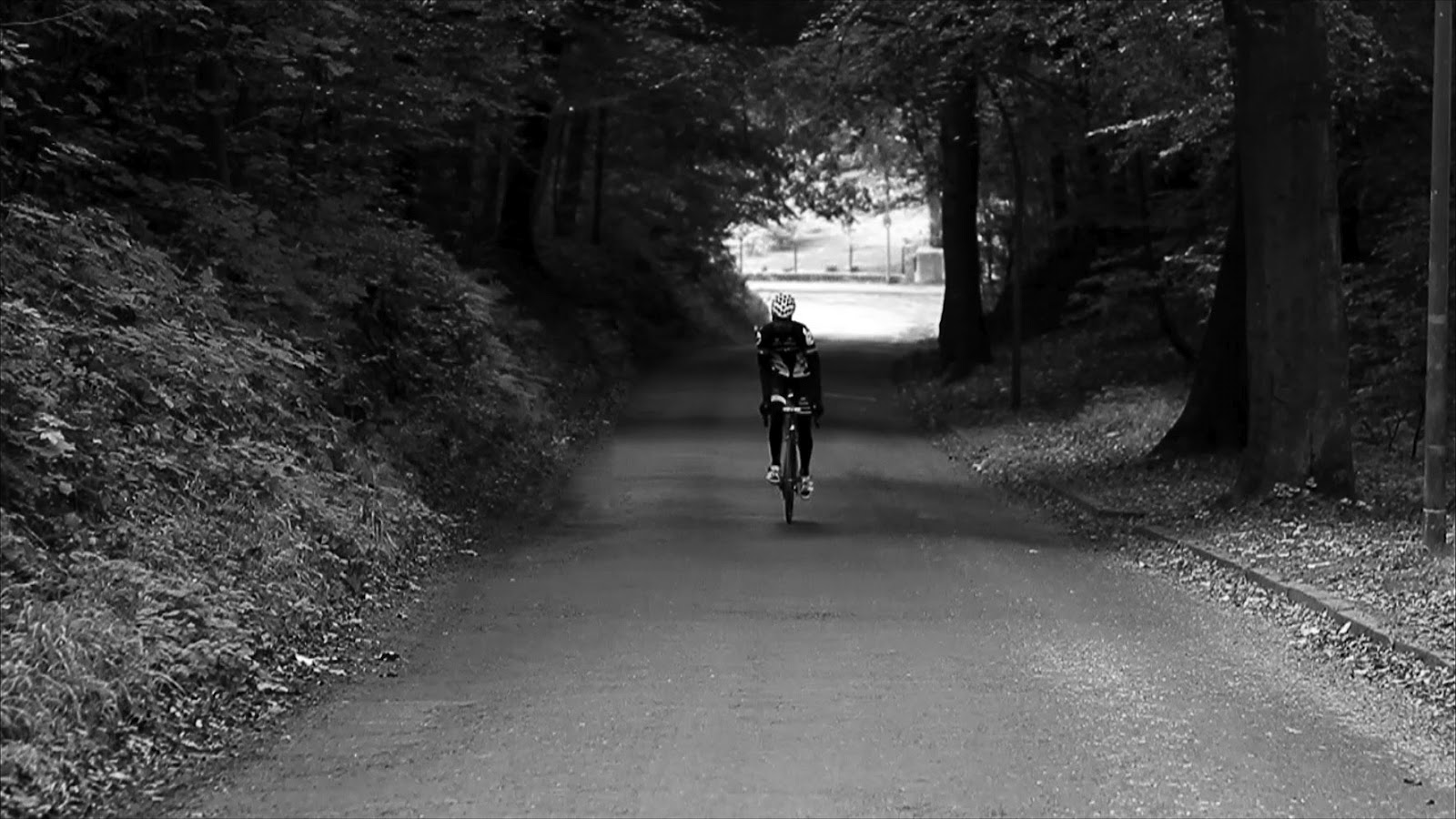 rennrad wallpaper, black, cycling, black and white, bicycle, tree