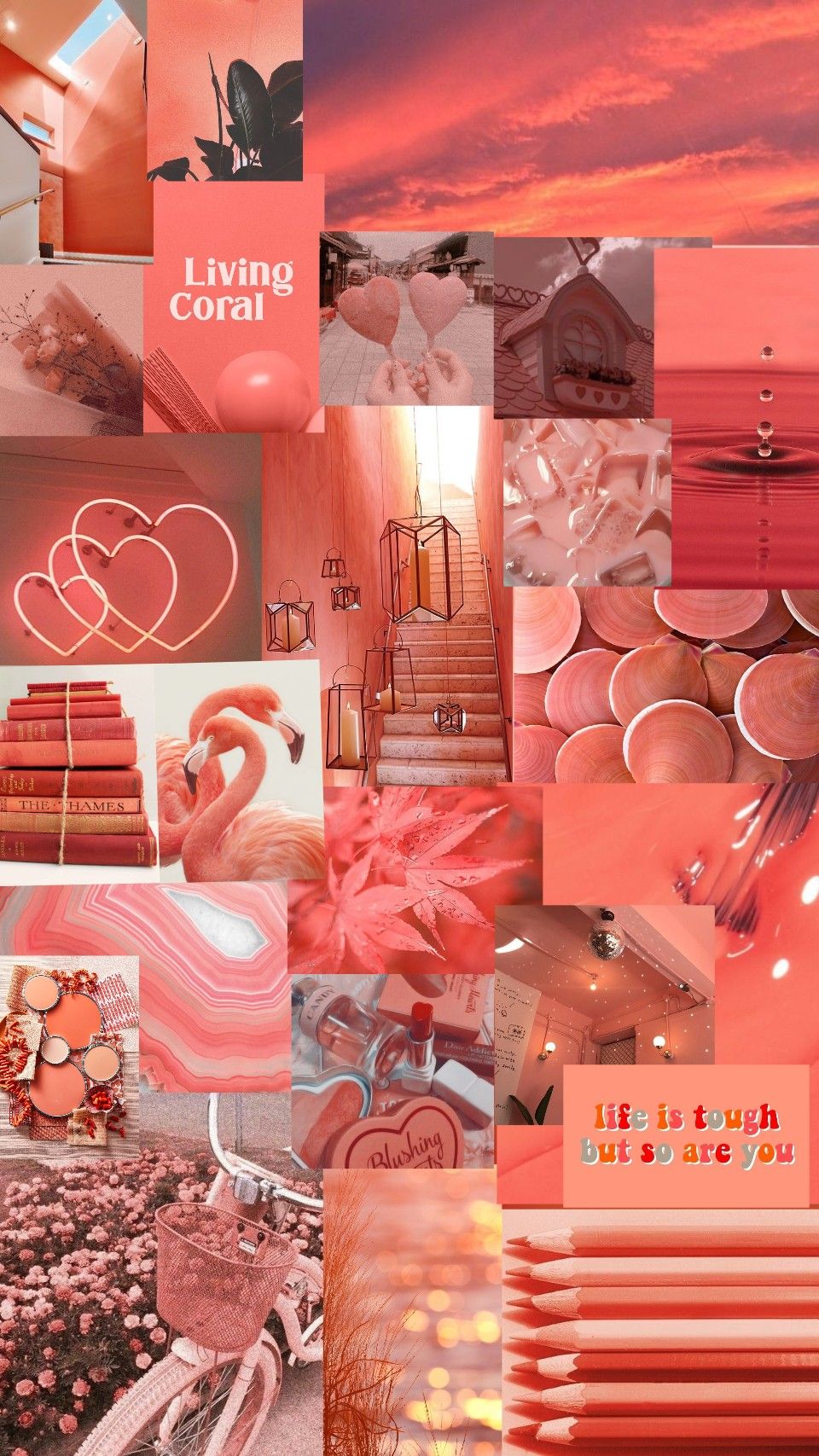 salmon aesthetic. Girl iphone wallpaper, Pink wallpaper iphone, iPhone wallpaper themes