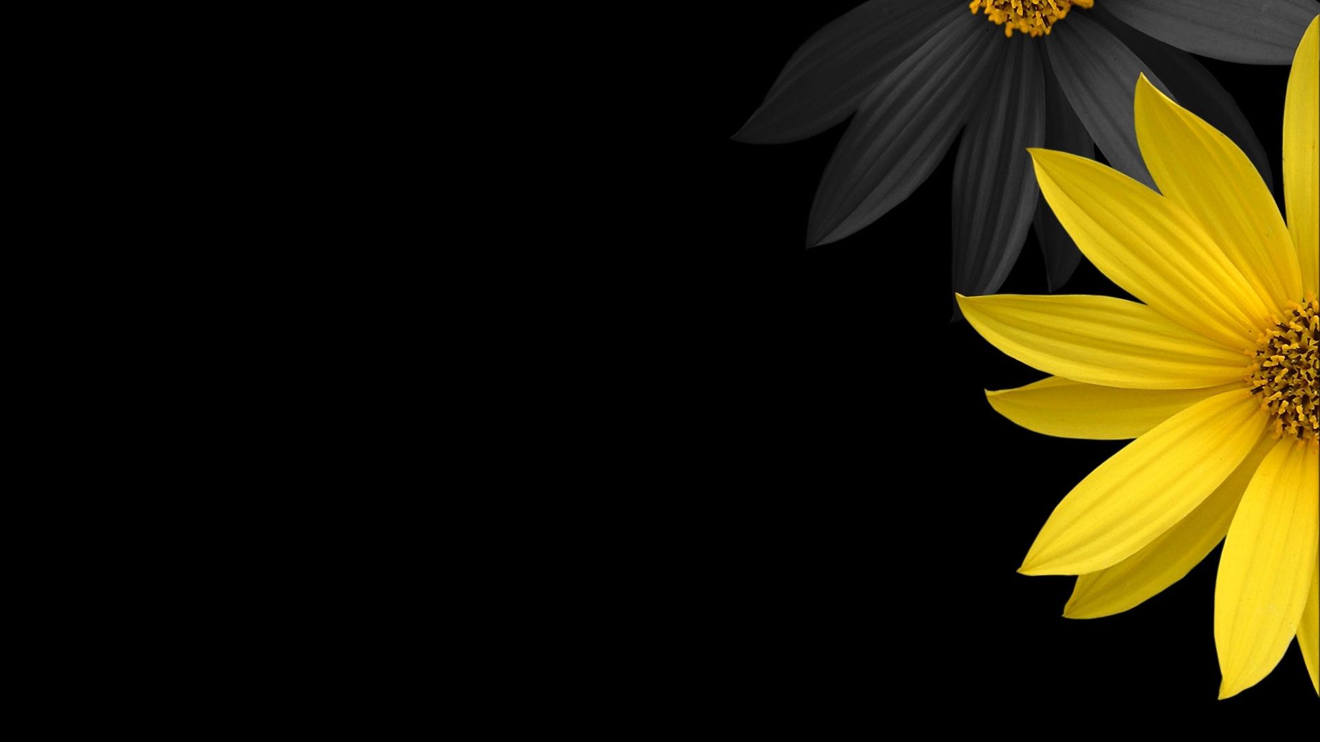 Keep It Simple Wallpaper. Best and Cool Wallpaper HD