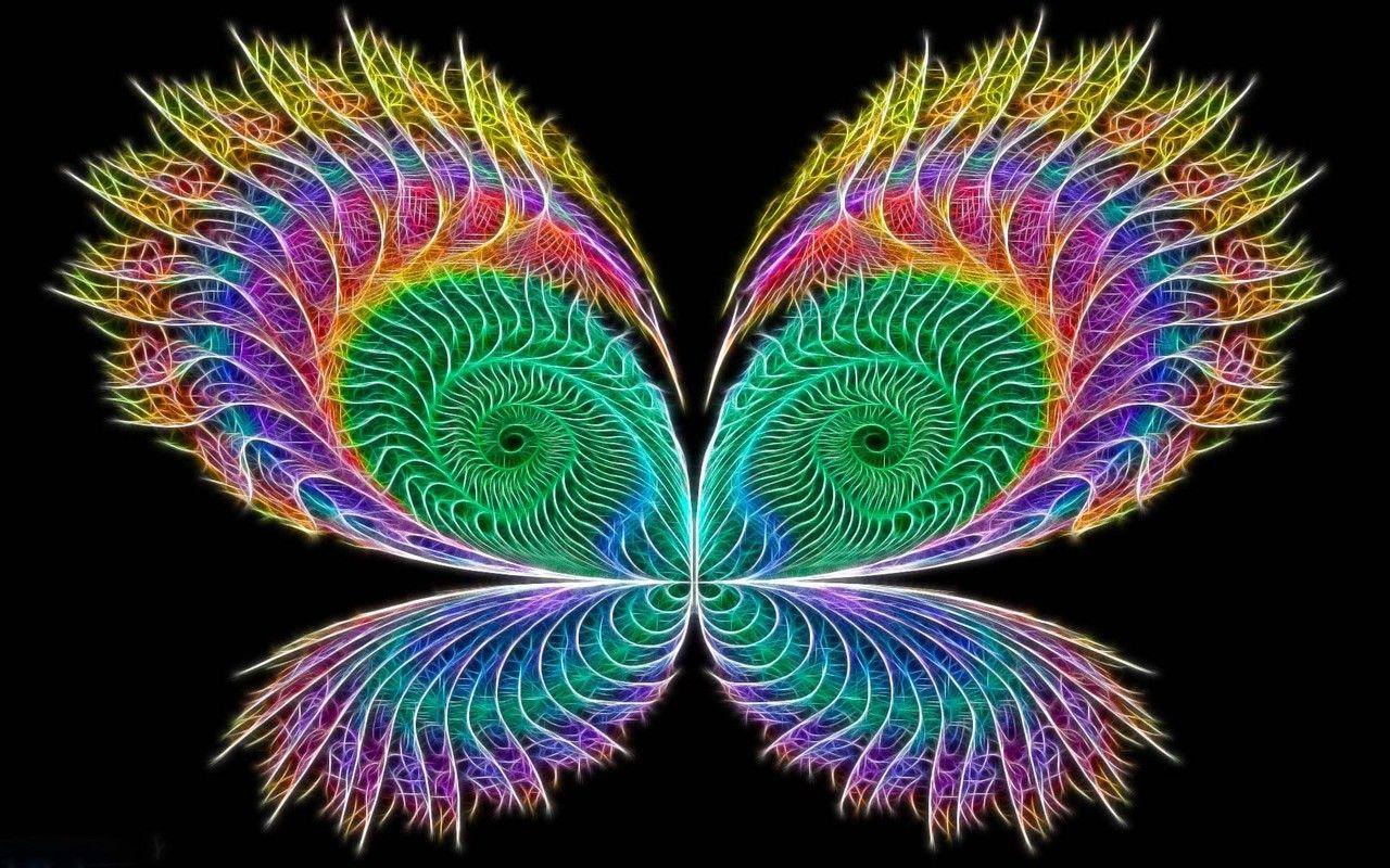 Neon Colors Rock image Butterfly HD wallpaper and background photo