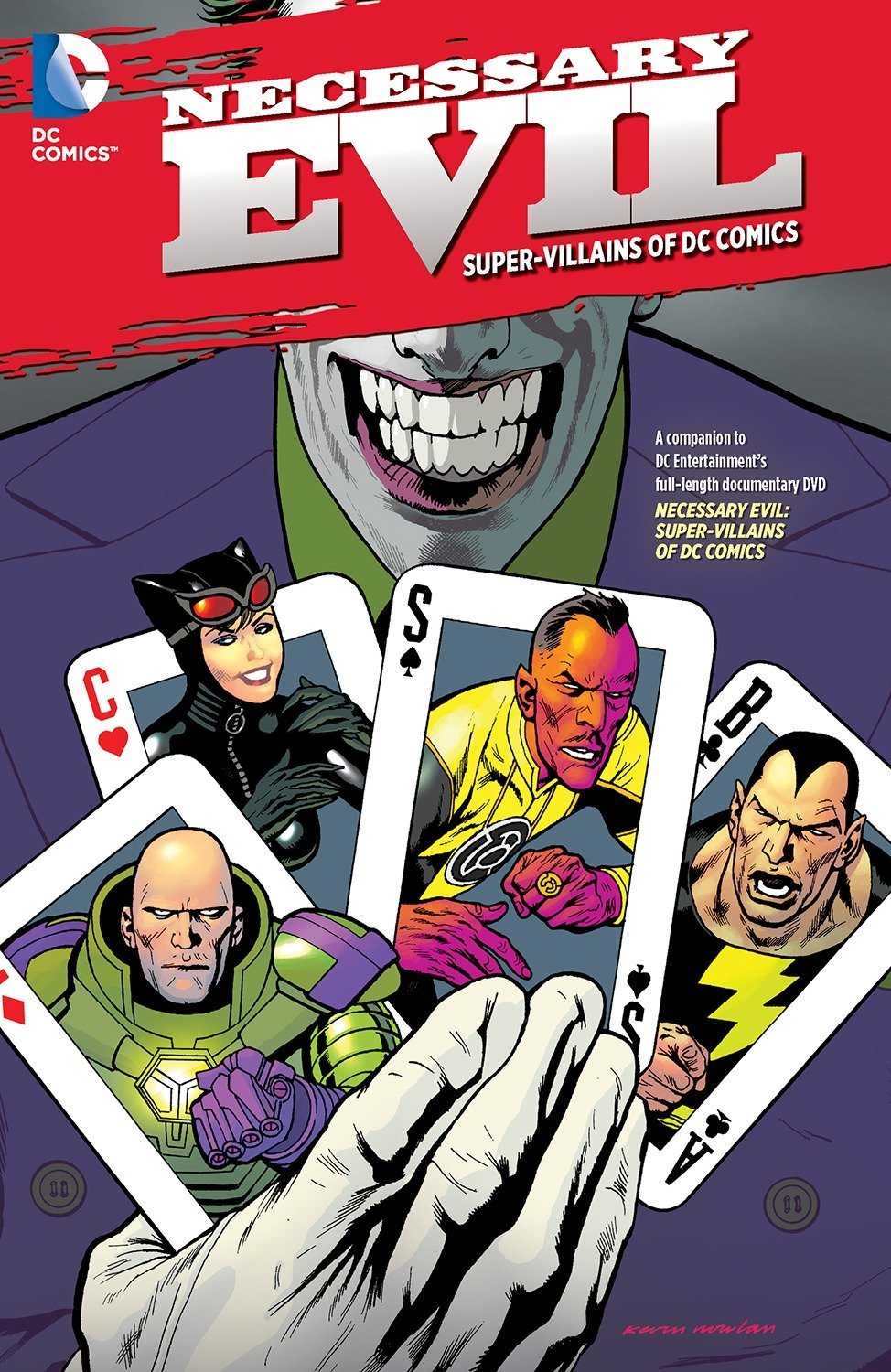 Necessary Evil: Super Villains Of DC Comics: Various, Various: 9781401245030: Books