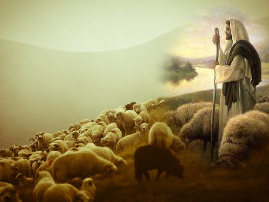 Son of God. The good shepherd, Lord is my shepherd, Jesus shepherd