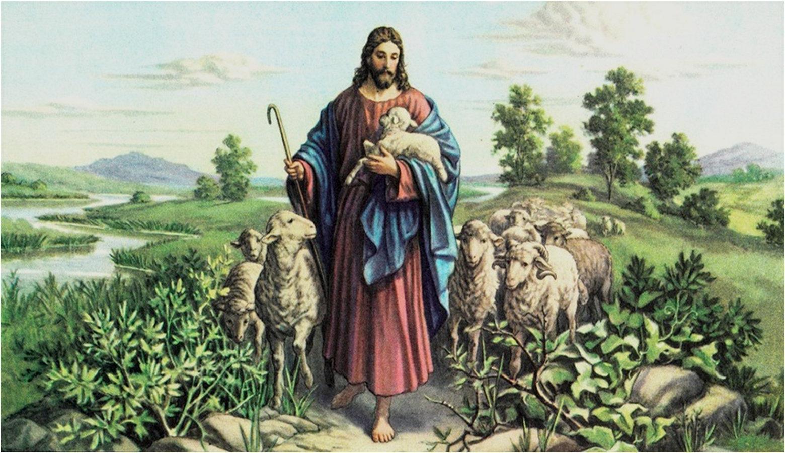 Good Shepherd Jesus Quotes. QuotesGram
