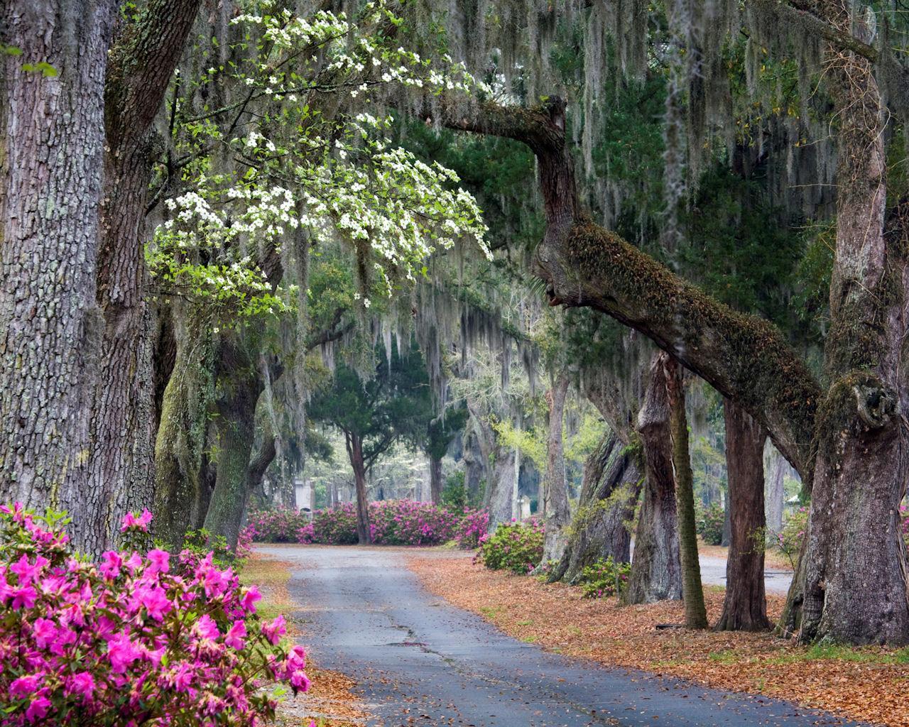 Savannah GA Wallpaper Desktop