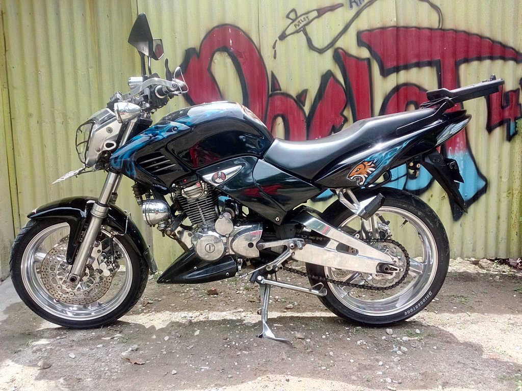 airbrush potlot45 tiger 2000.touring