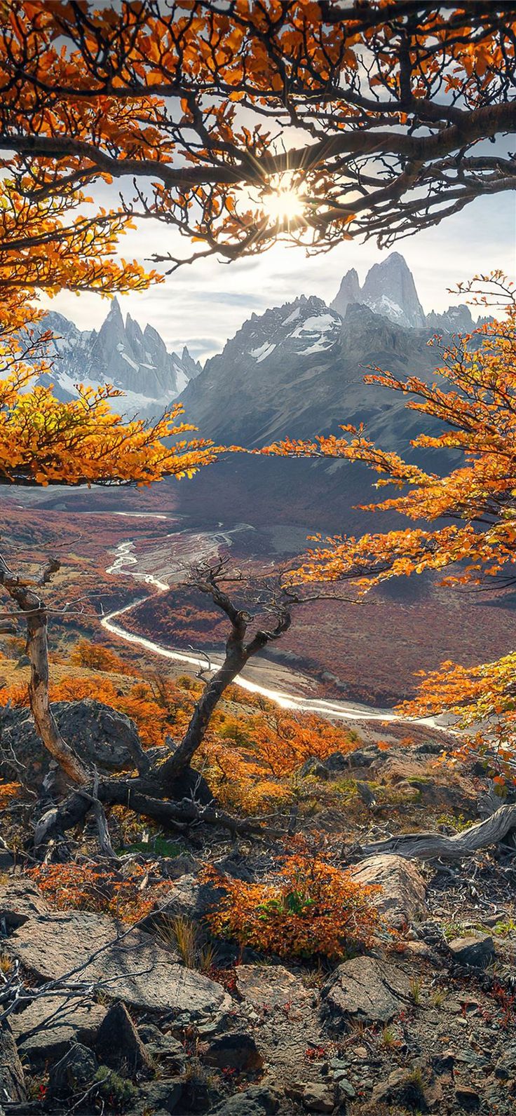 Free download the beautiful autumn colours in patagonia 4k wallpaper , beaty your iphone. #autumn #nature. Scenery wallpaper, Wallpaper earth, Scenic wallpaper