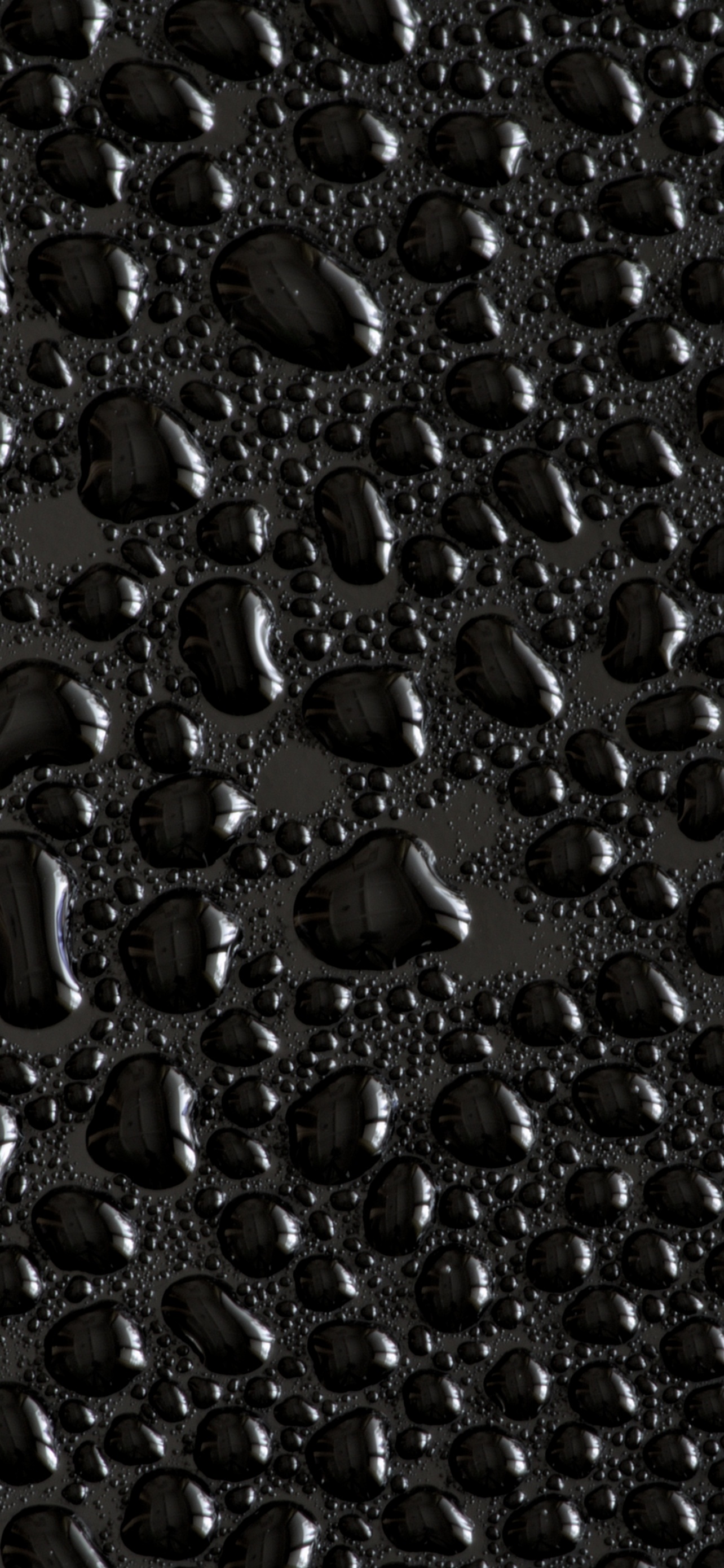 Water droplets Wallpaper 4K, Black