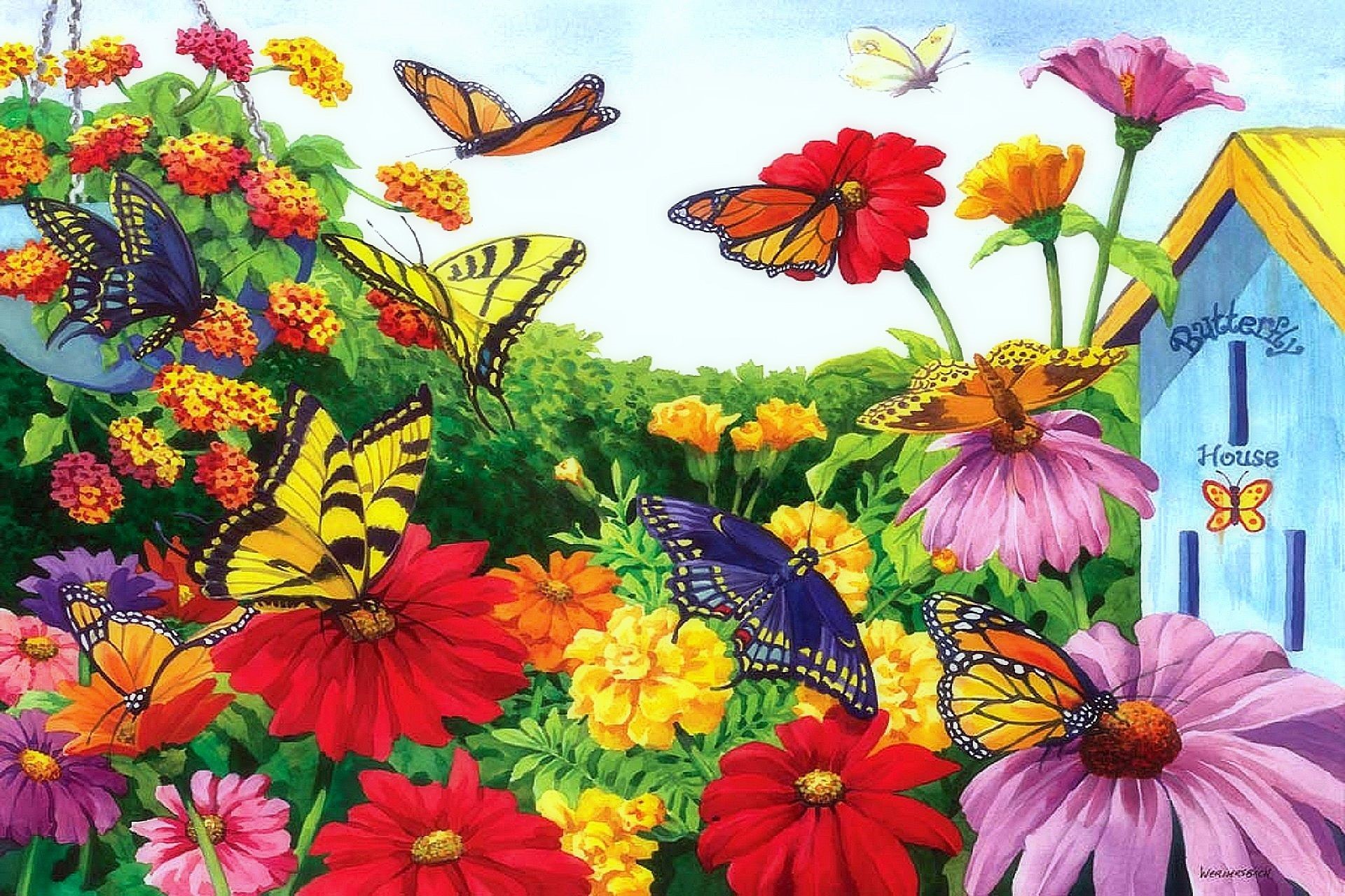Butterfly Garden Mobile Wallpaper Wallpaper Download Resolution 4K Wallpaper