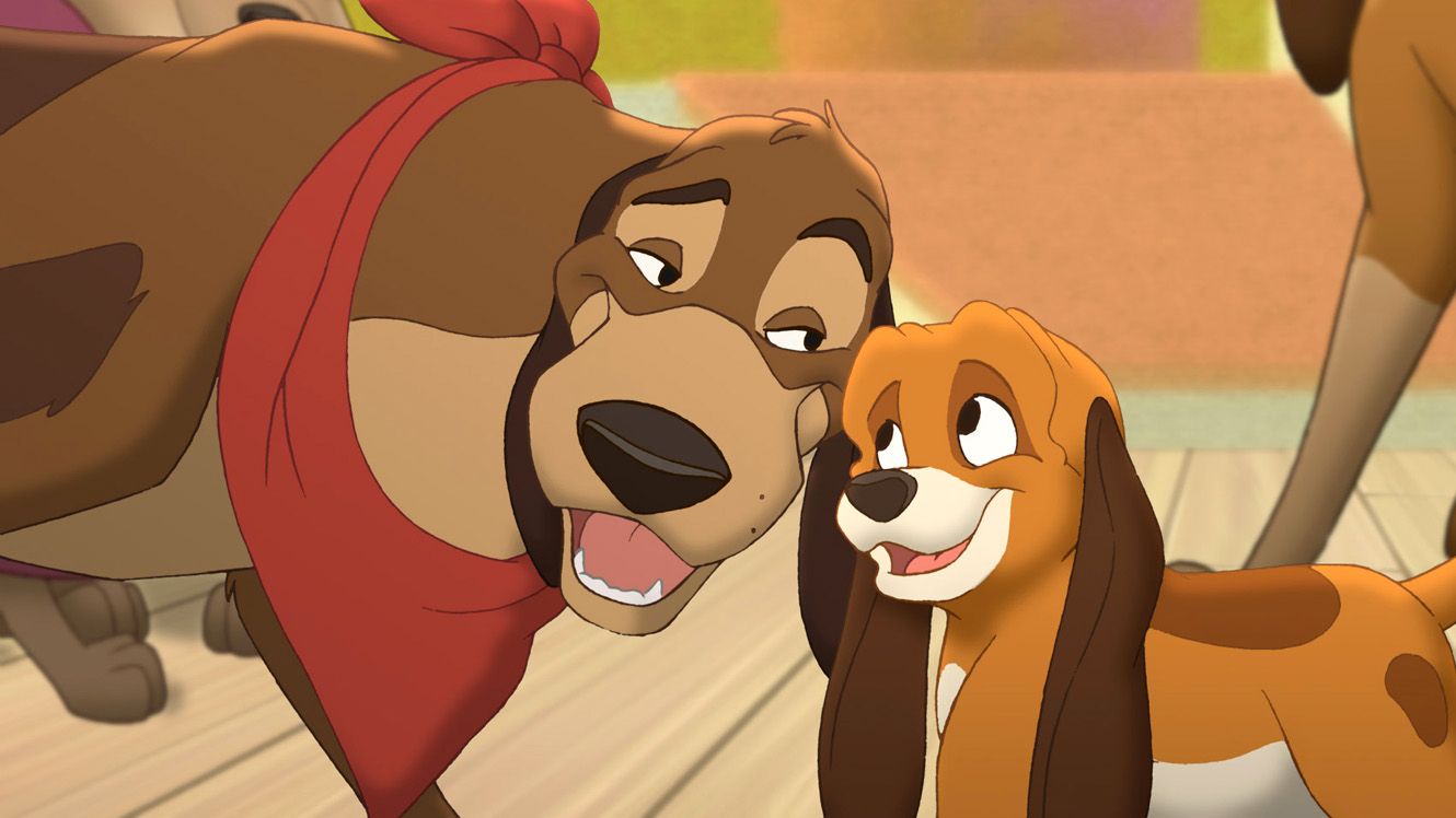 Home. The fox and the hound, Hound, Disney animals