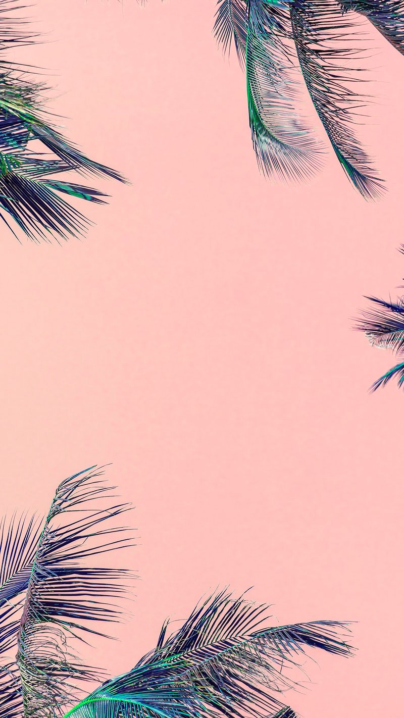 Frame Instagram Story Pink Image Wallpaper
