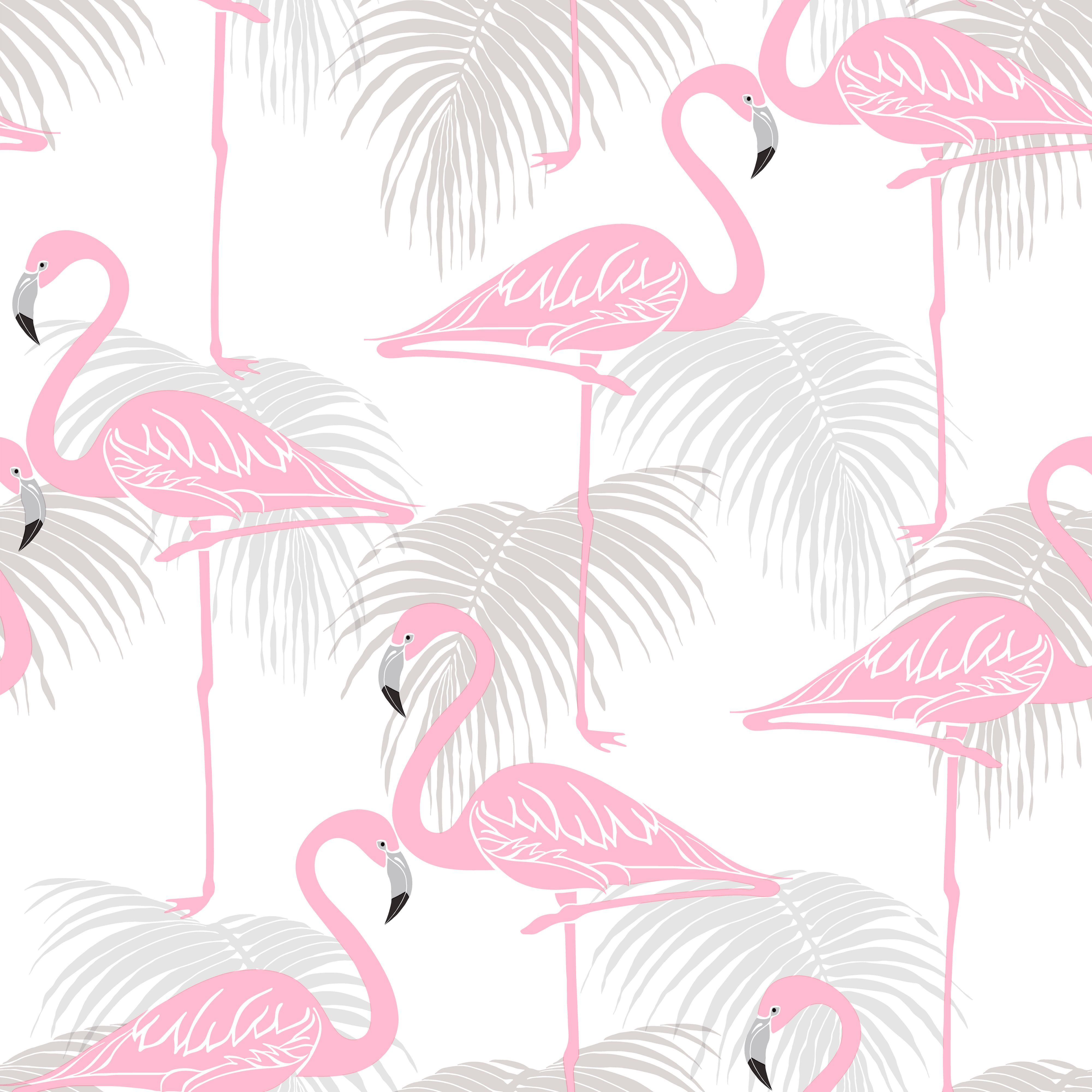 Pink Flamingo Wallpapers - Wallpaper Cave