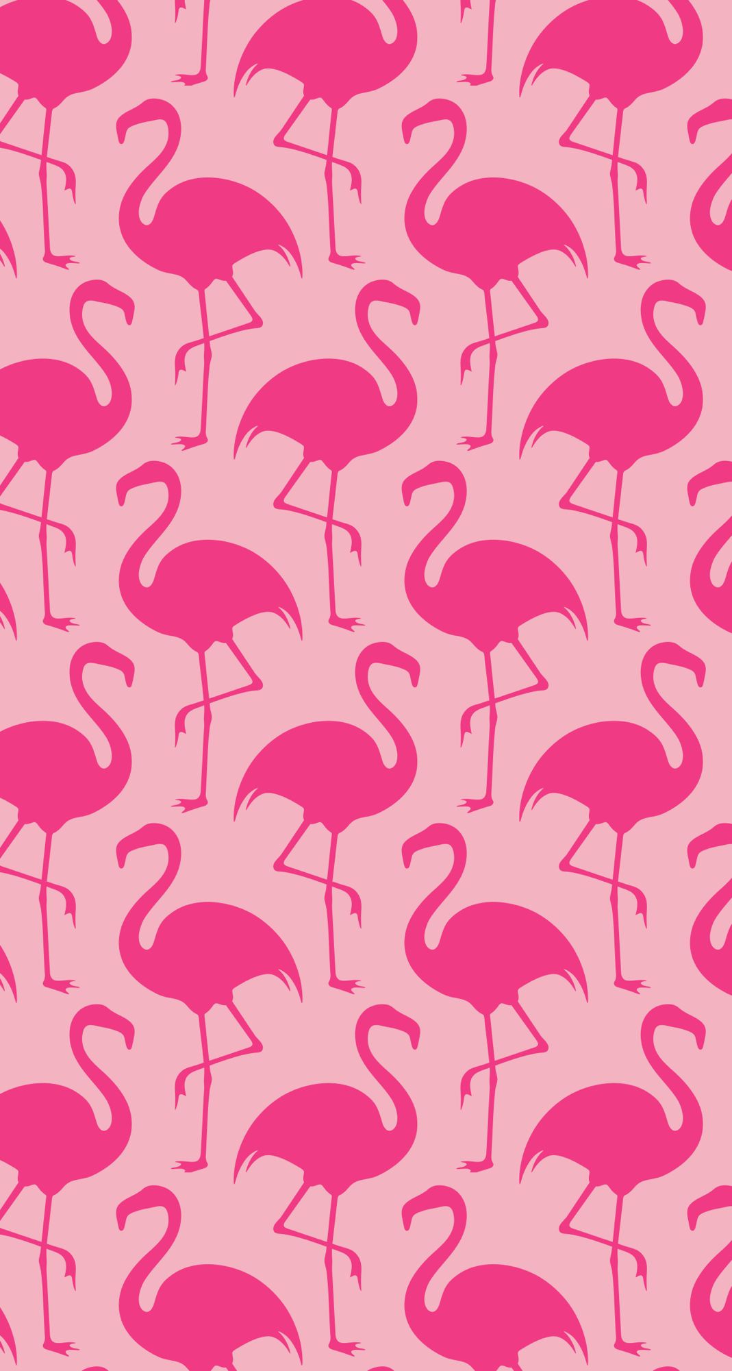 Flamingos with blue background mural wallpaper  TenStickers