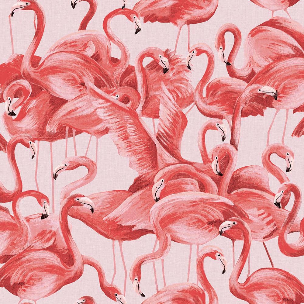 Tempaper Flamingo Cheeky Pink Peel and Stick Wallpaper (Covers 28 sq. ft.) FL10538