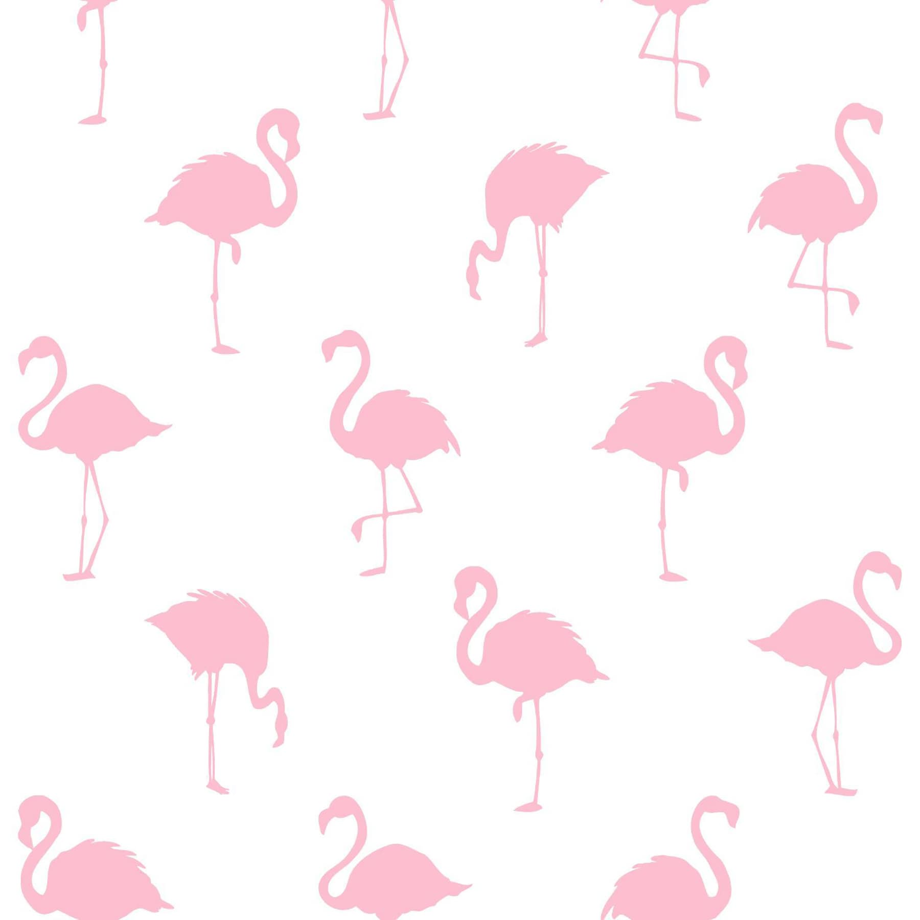 ESTA Home Design Department 56.4 Sq Ft Pink Non Woven Birds Unpasted Wallpaper In The Wallpaper Department At Lowes.com