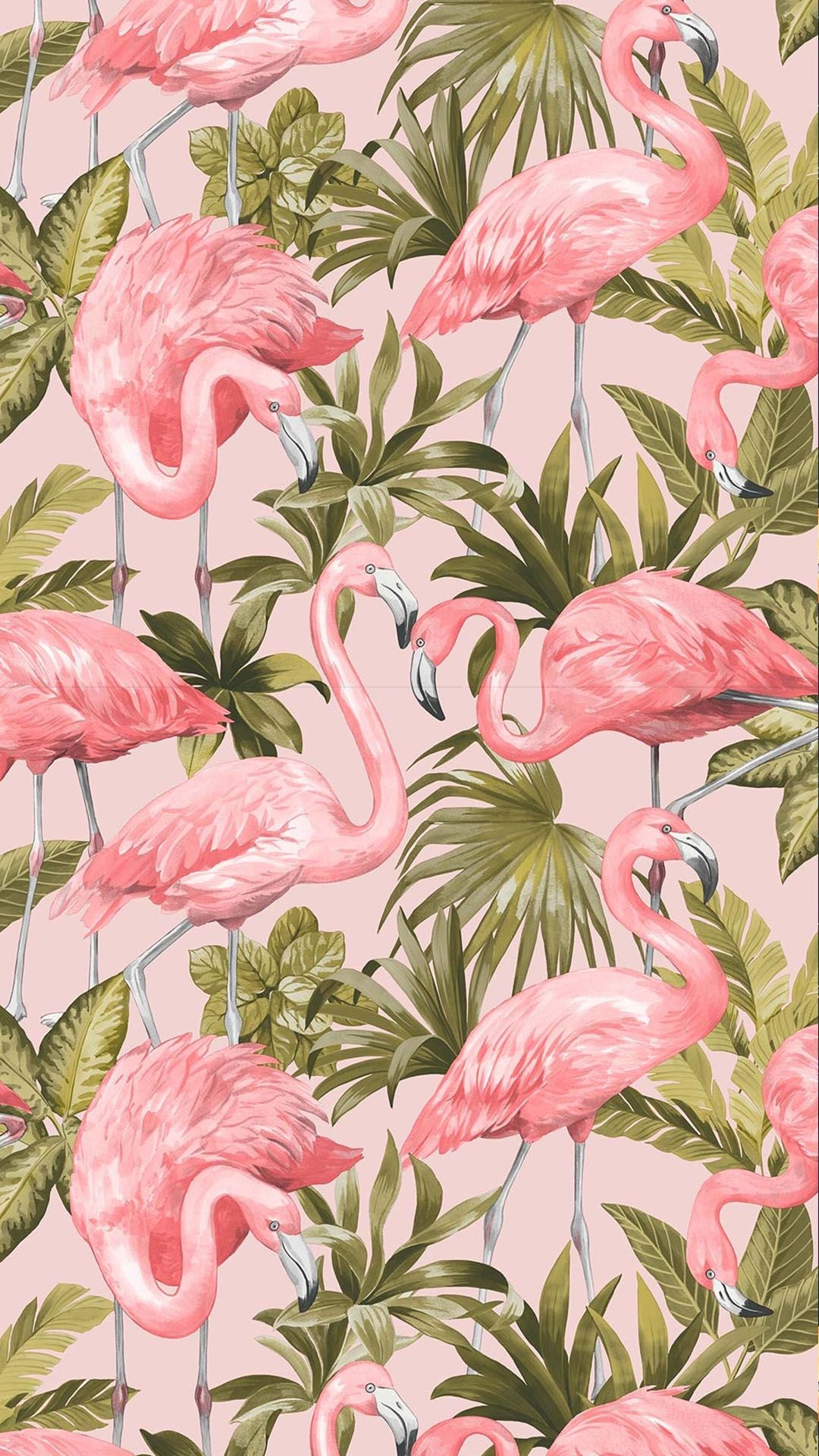 Flamingo Wallpaper Blush, Pink. Flamingo wallpaper, Butterfly wallpaper, iPhone wallpaper